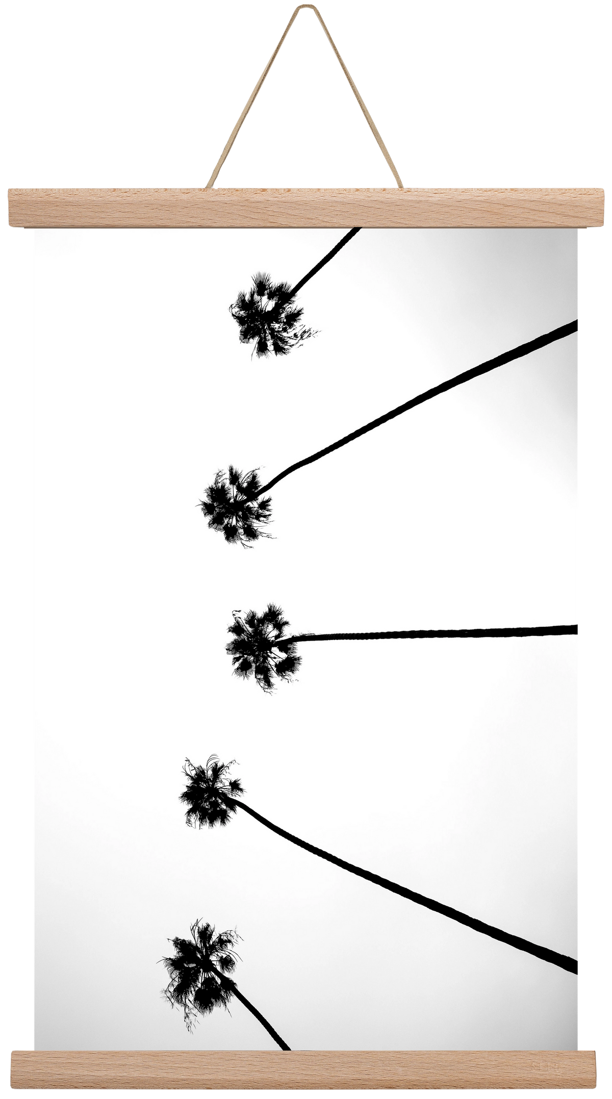 Cali Cathedrals, 30x45 cm (30x45 cm), Tölgy akasztó