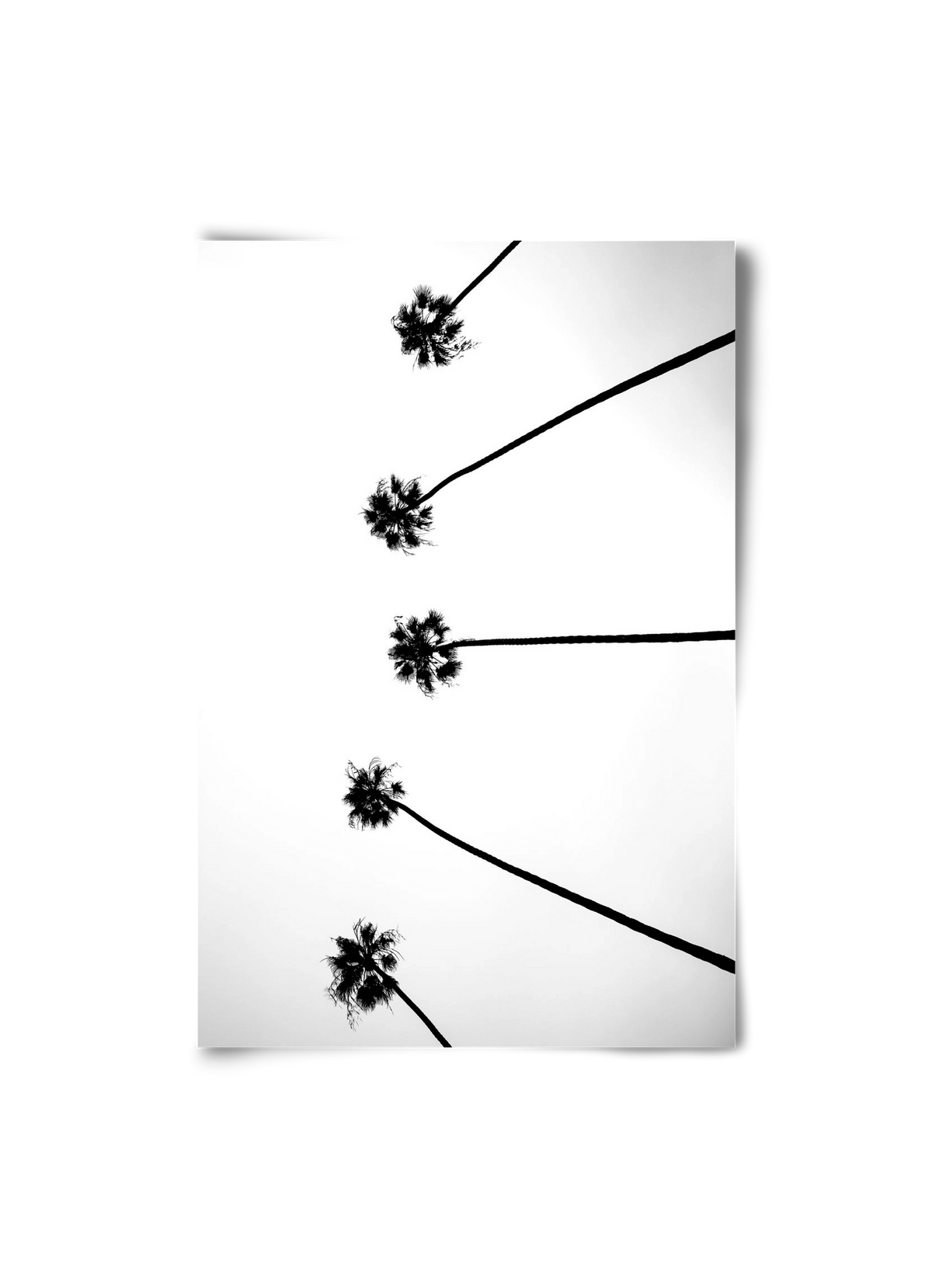 Cali Cathedrals, 20x30 cm, Keret nélkül