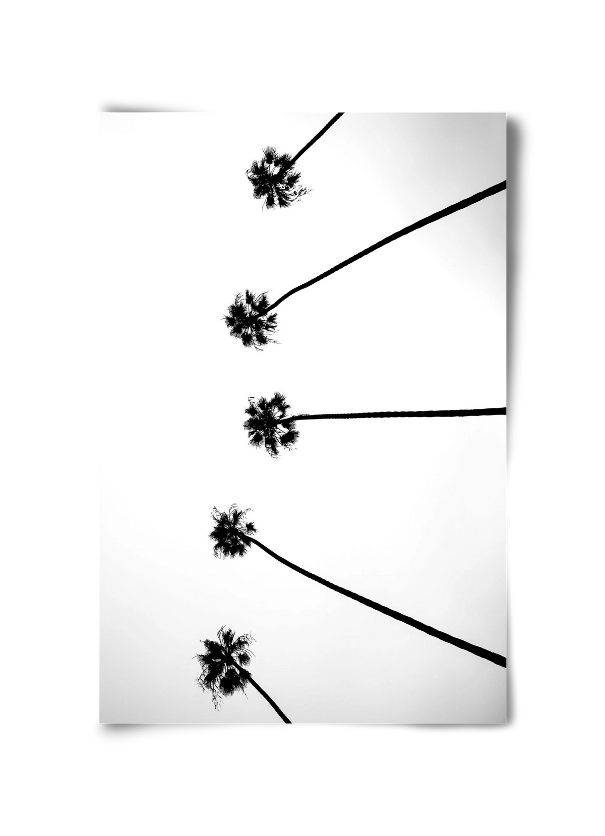 Cali Cathedrals, 30x45 cm, Keret nélkül