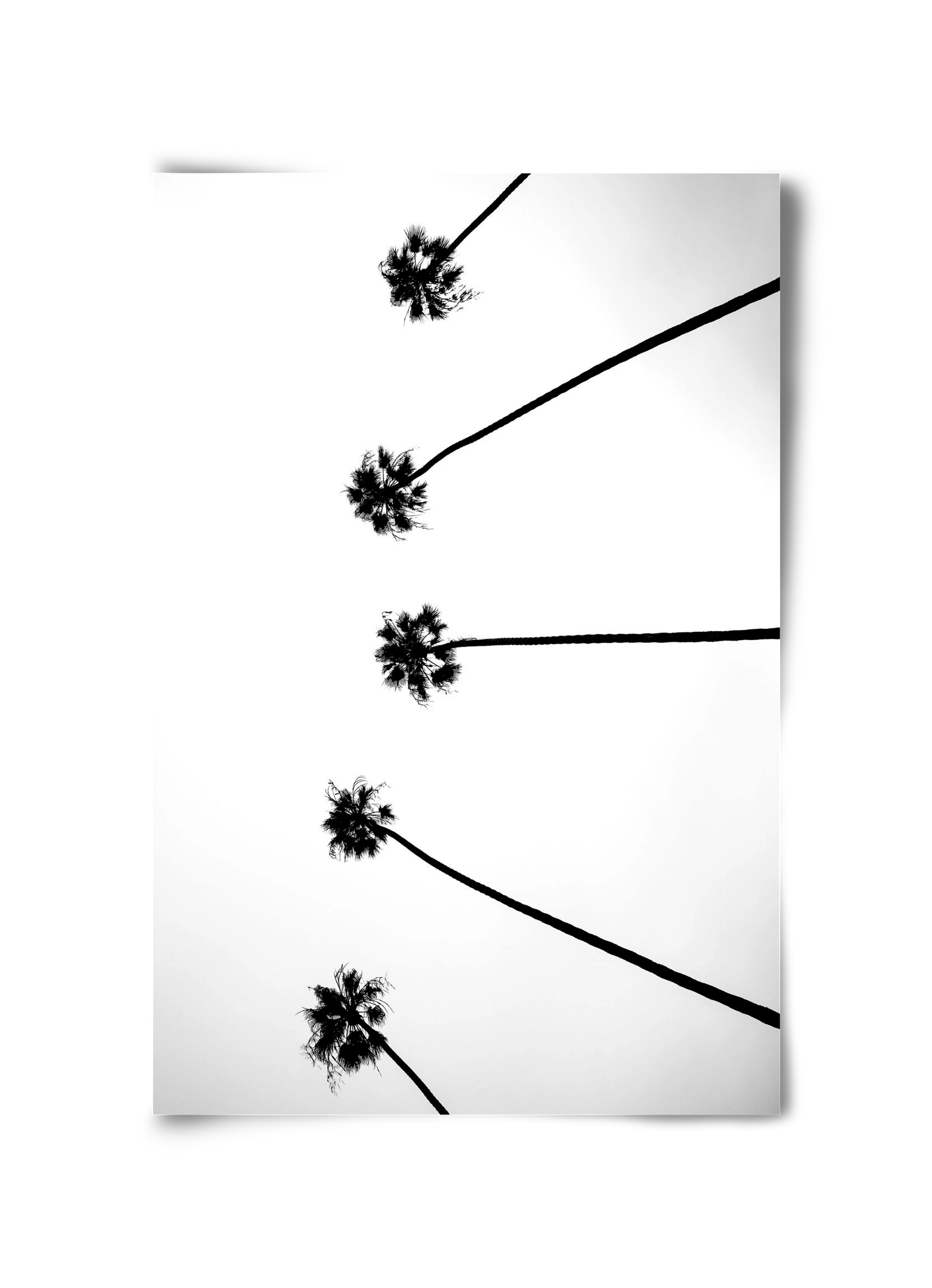 Cali Cathedrals, 30x45 cm, Keret nélkül