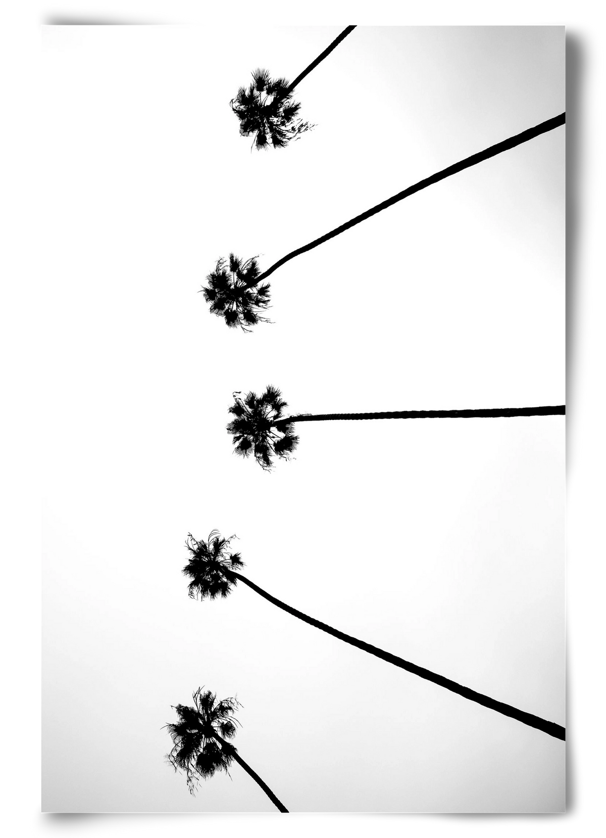 Cali Cathedrals, 60x90 cm, Keret nélkül