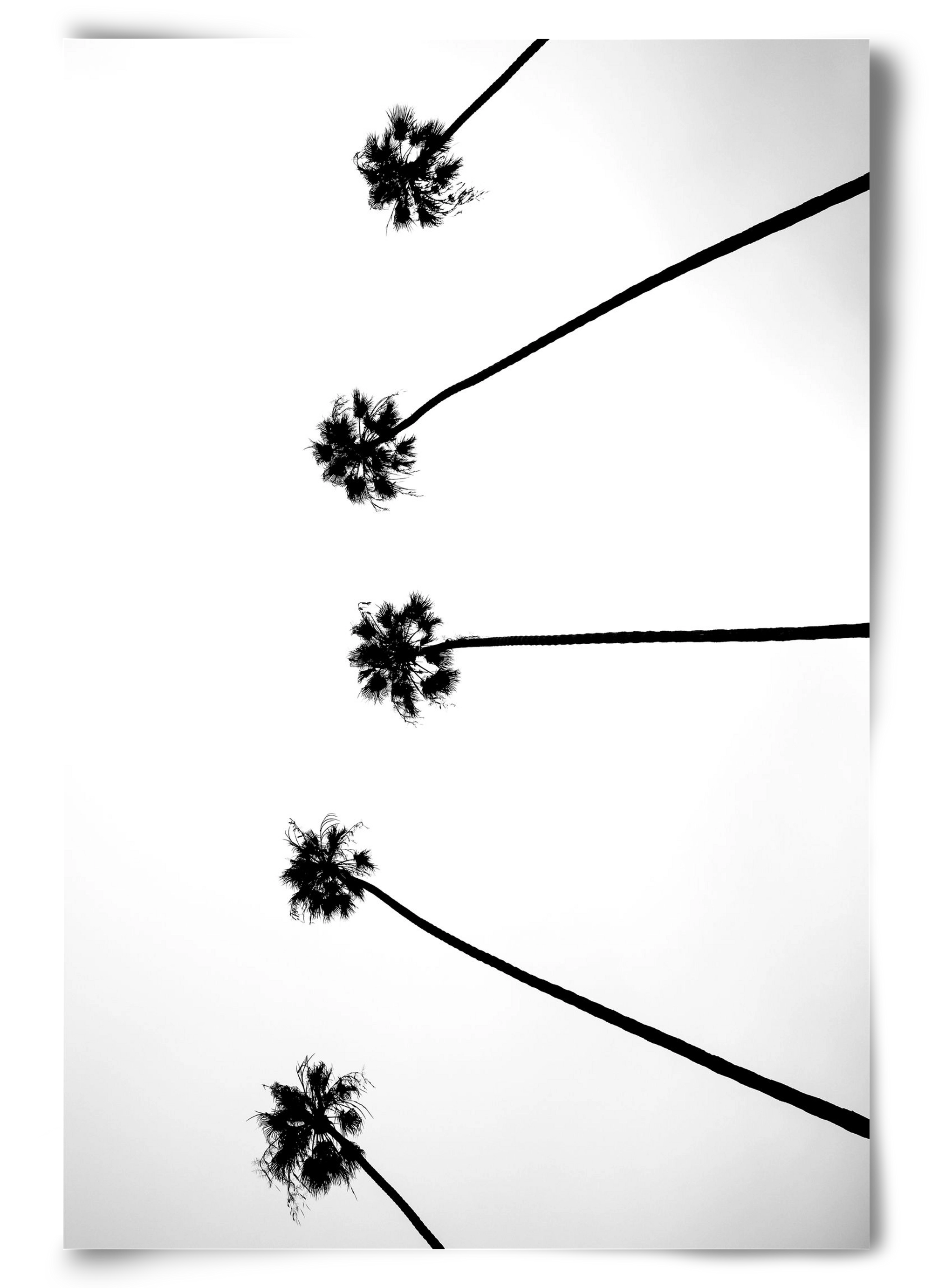 Cali Cathedrals, 60x90 cm, Keret nélkül