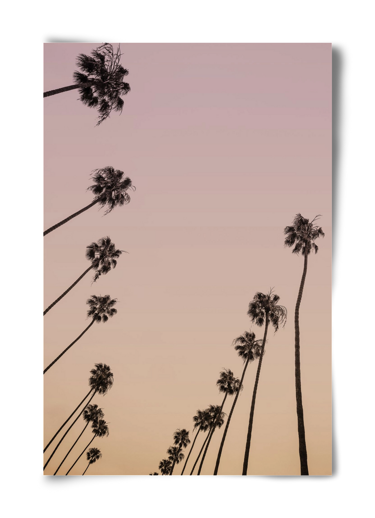 Cali Cathedrals II., 40x60 cm, Keret nélkül