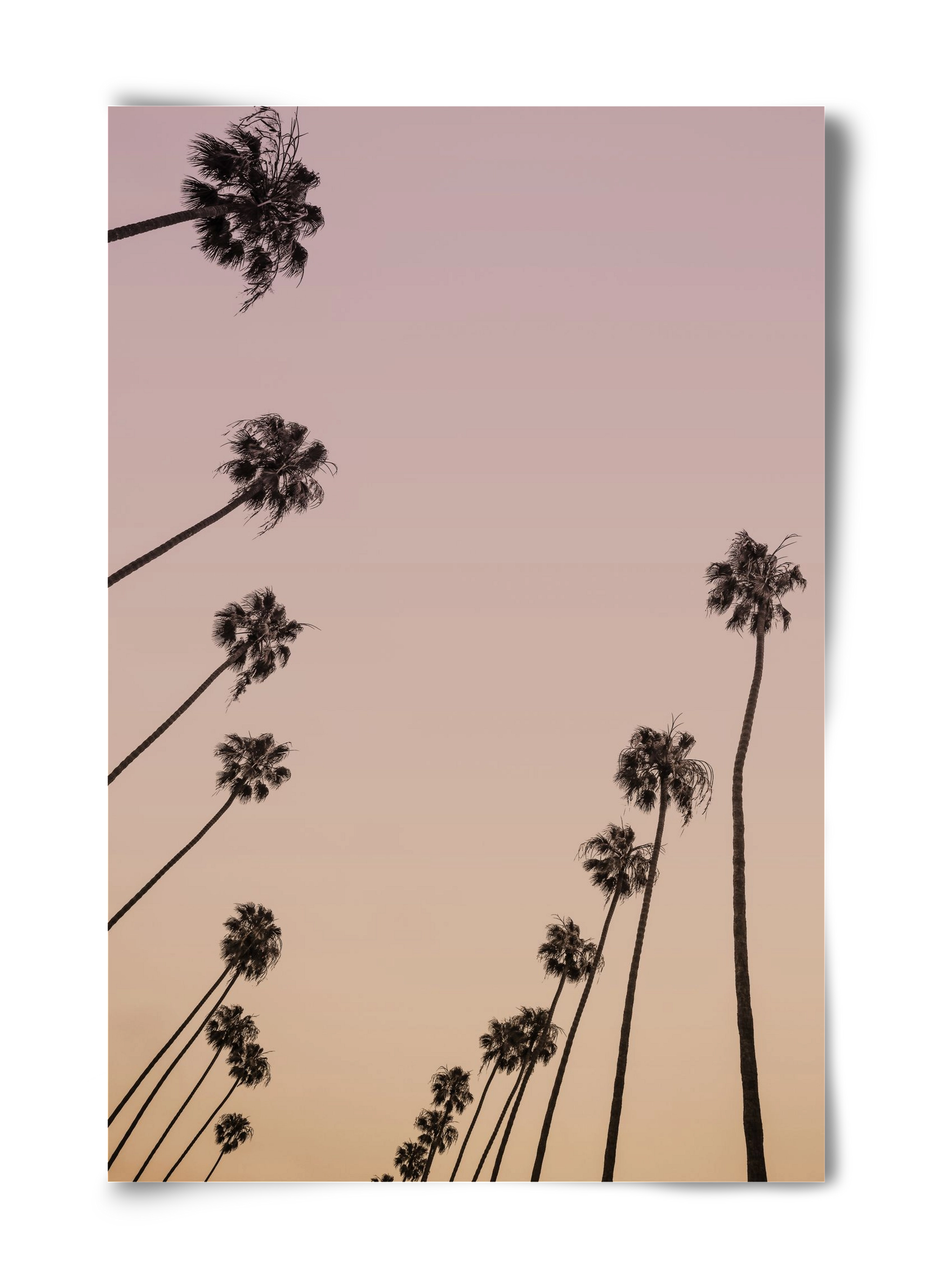 Cali Cathedrals II., 40x60 cm, Keret nélkül