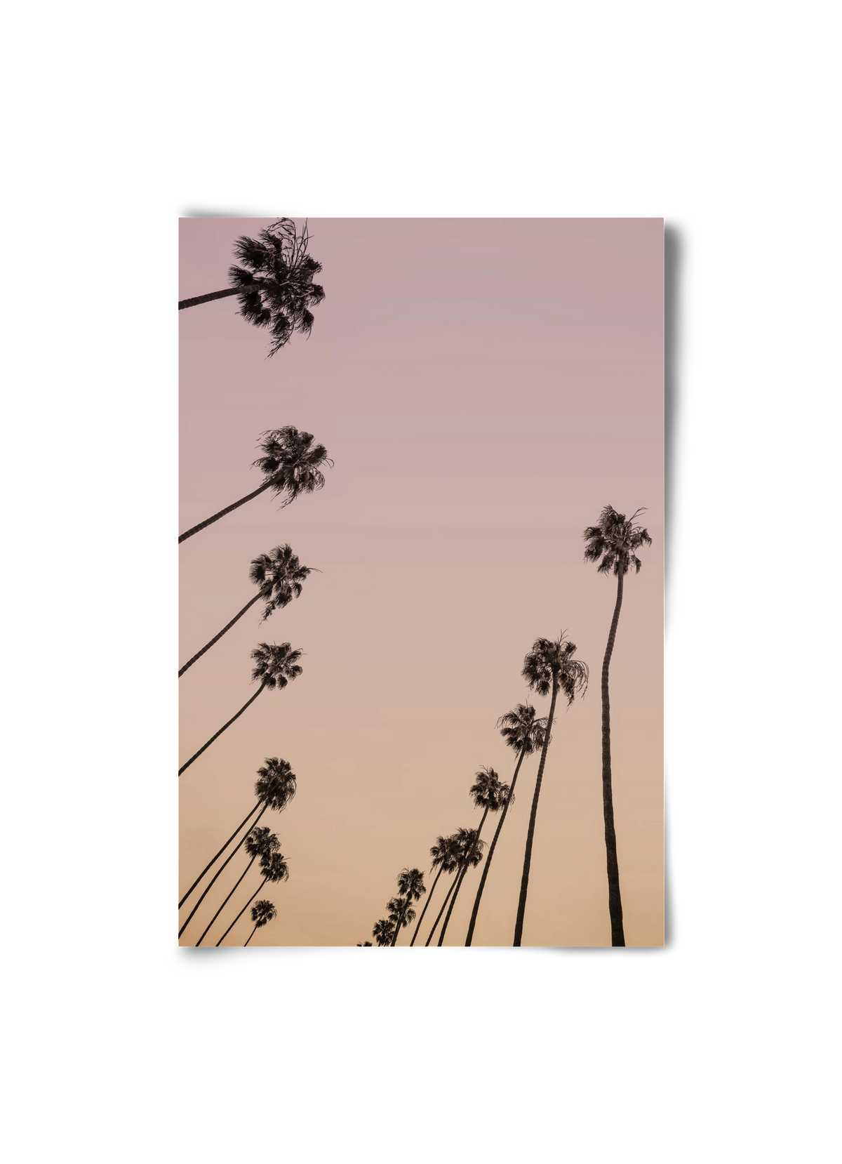 Cali Cathedrals II., 20x30 cm, Keret nélkül