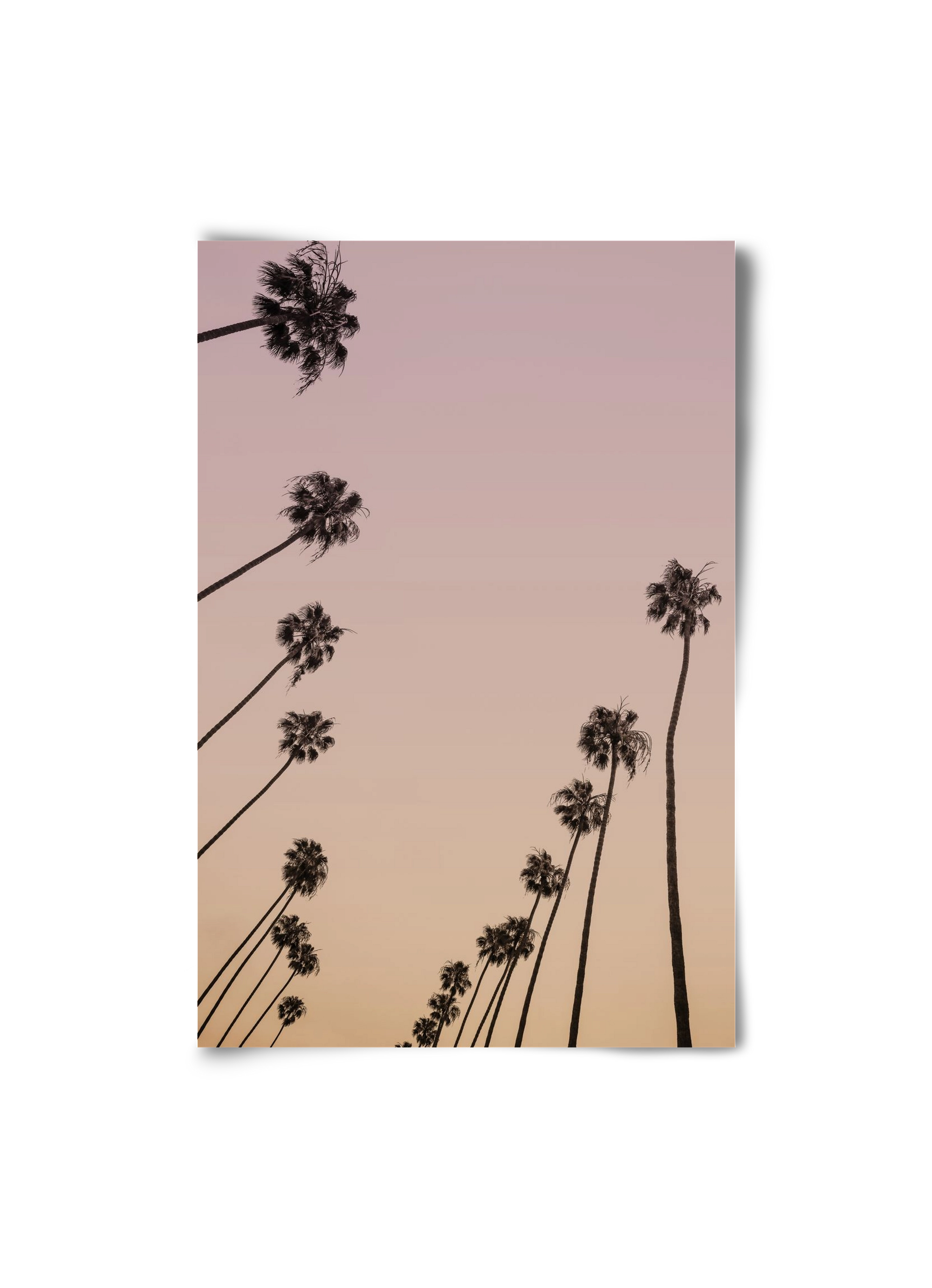 Cali Cathedrals II., 20x30 cm, Keret nélkül