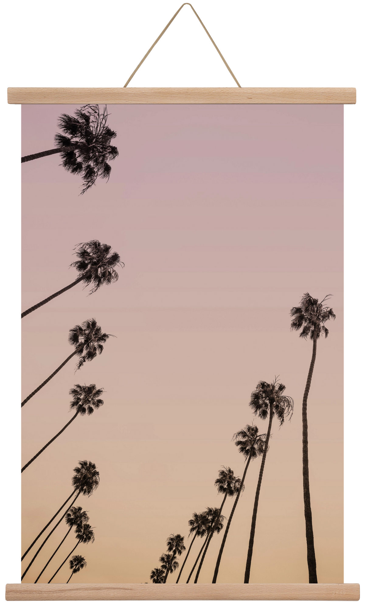 Cali Cathedrals II., 40x60 cm (40x60 cm), Tölgy akasztó