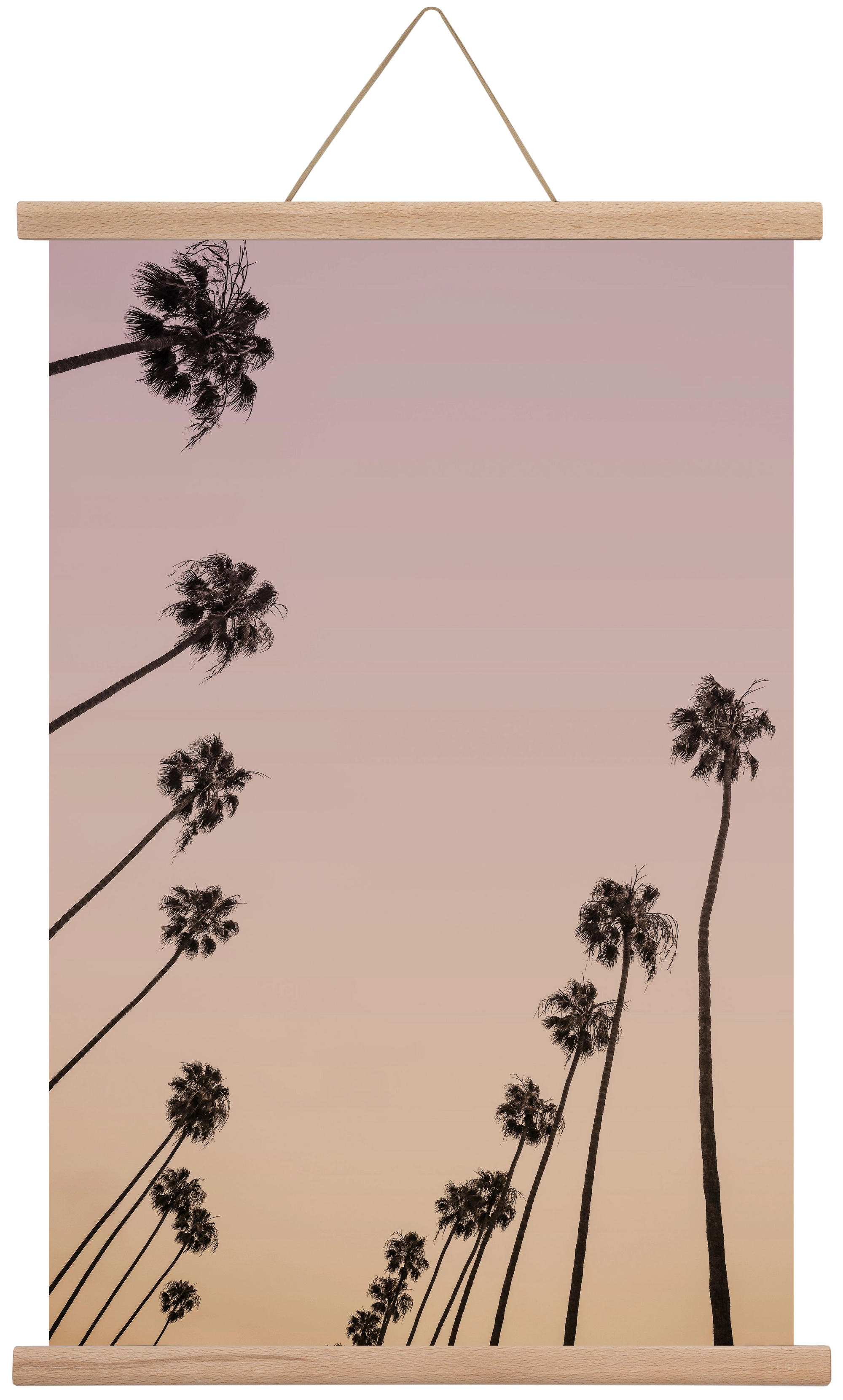 Cali Cathedrals II., 40x60 cm (40x60 cm), Tölgy akasztó