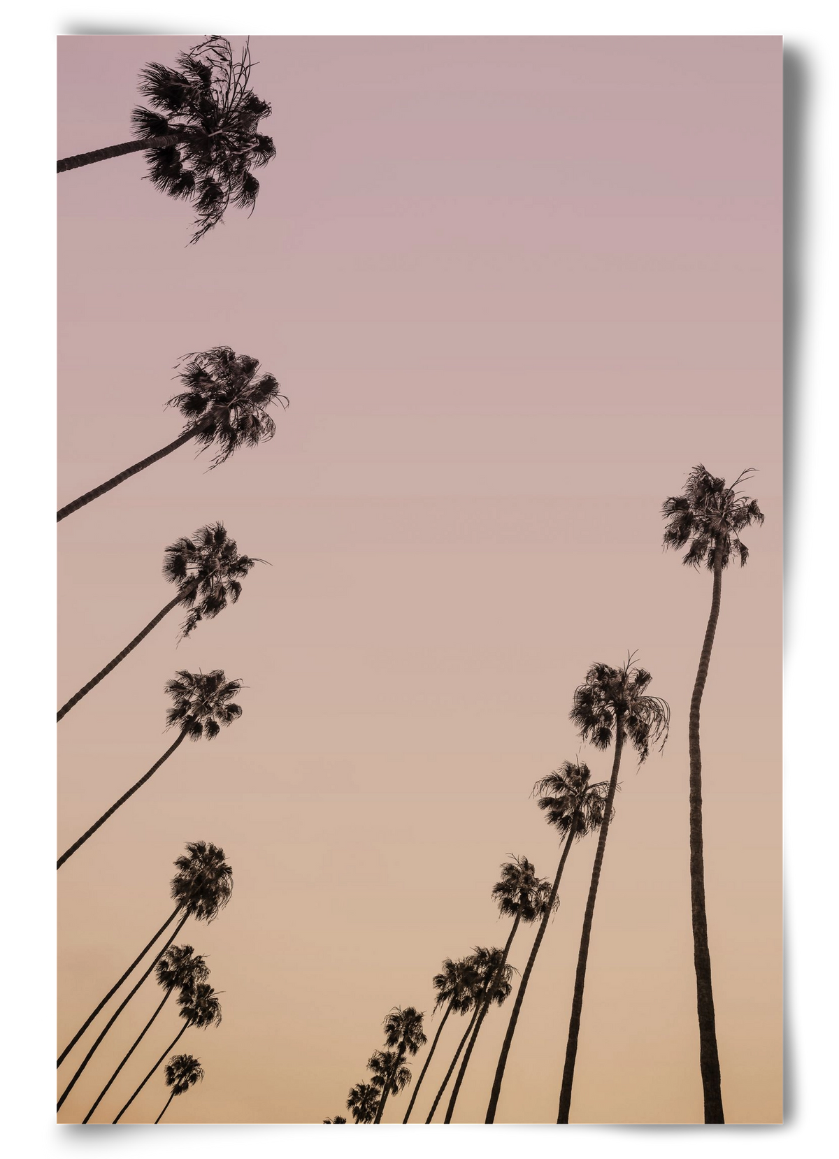 Cali Cathedrals II., 60x90 cm, Keret nélkül