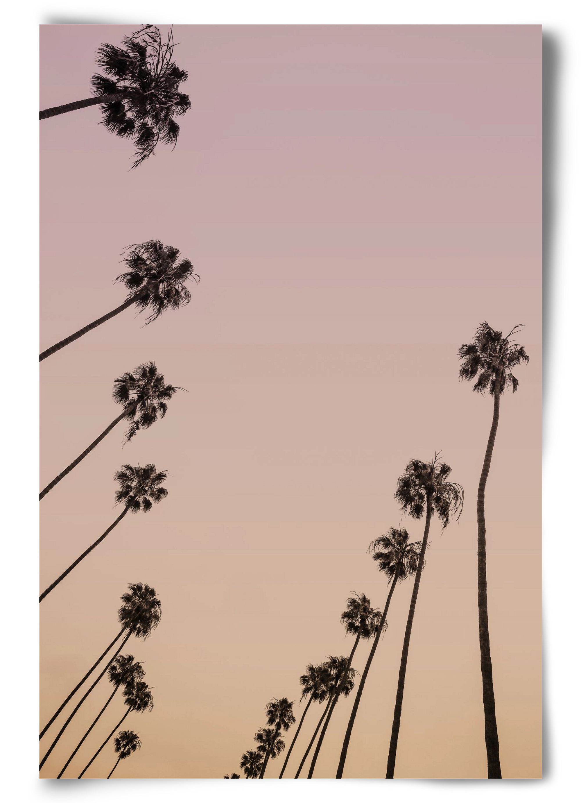 Cali Cathedrals II., 60x90 cm, Keret nélkül