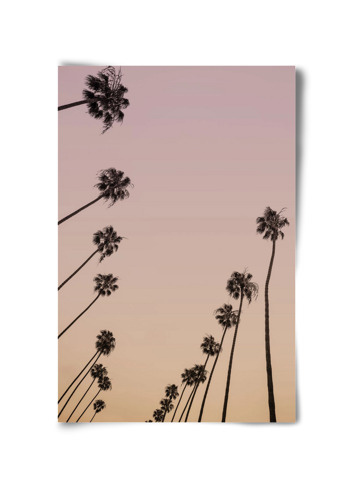 Cali Cathedrals II., 30x45 cm, Keret nélkül