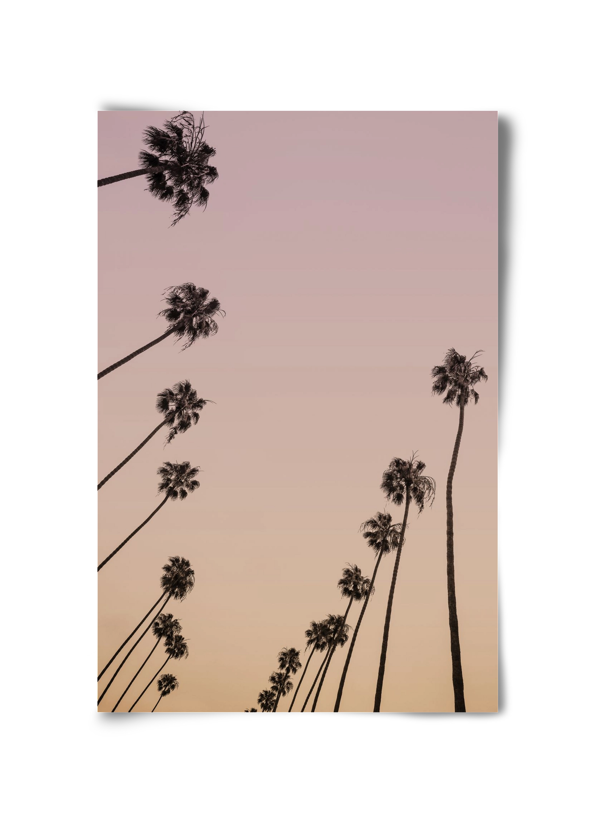 Cali Cathedrals II., 30x45 cm, Keret nélkül