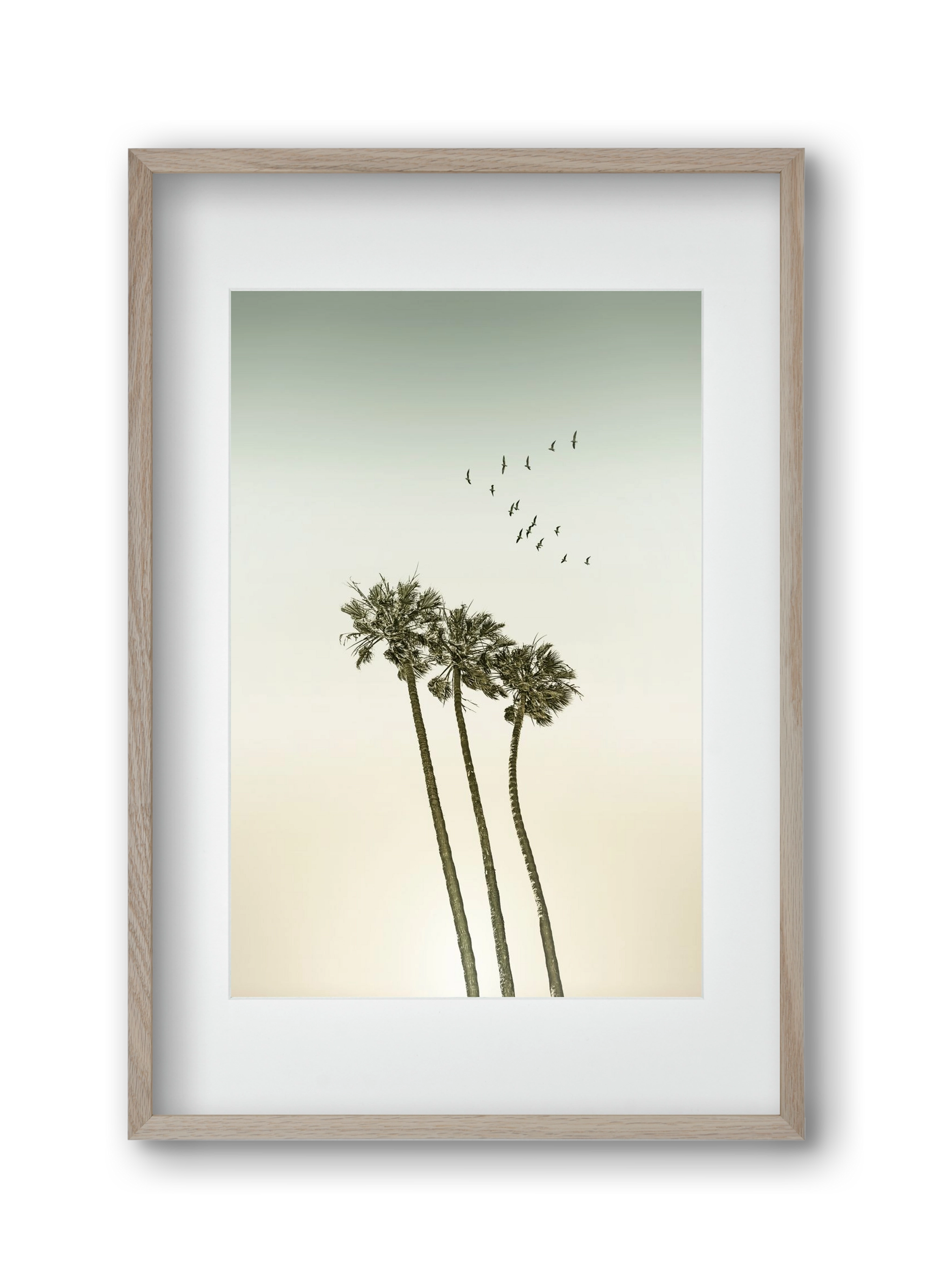 Vintage palm trees at sunset, 30x45 cm (20x30 cm), Tölgy keret, paszpartuval