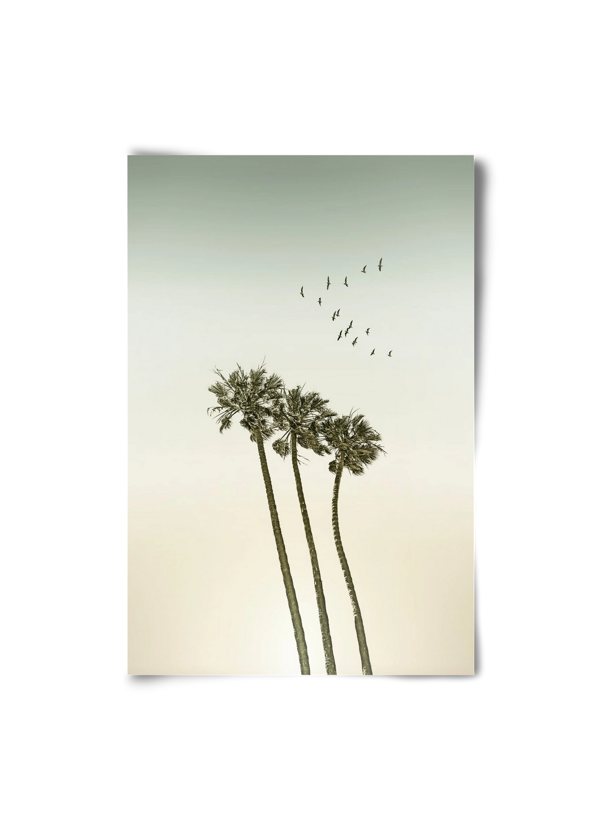 Vintage palm trees at sunset, 20x30 cm, Keret nélkül