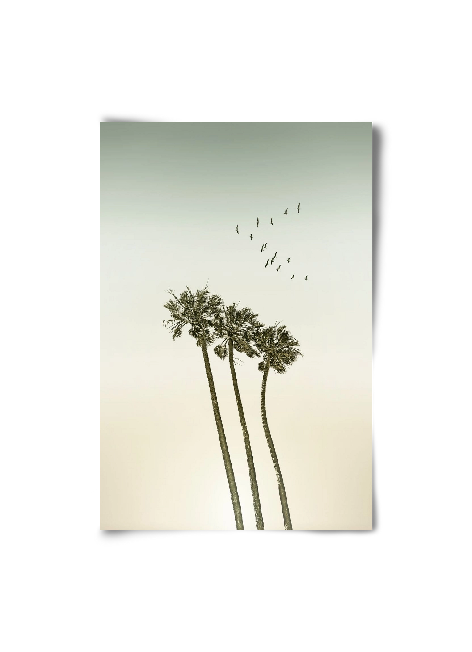 Vintage palm trees at sunset, 20x30 cm, Keret nélkül