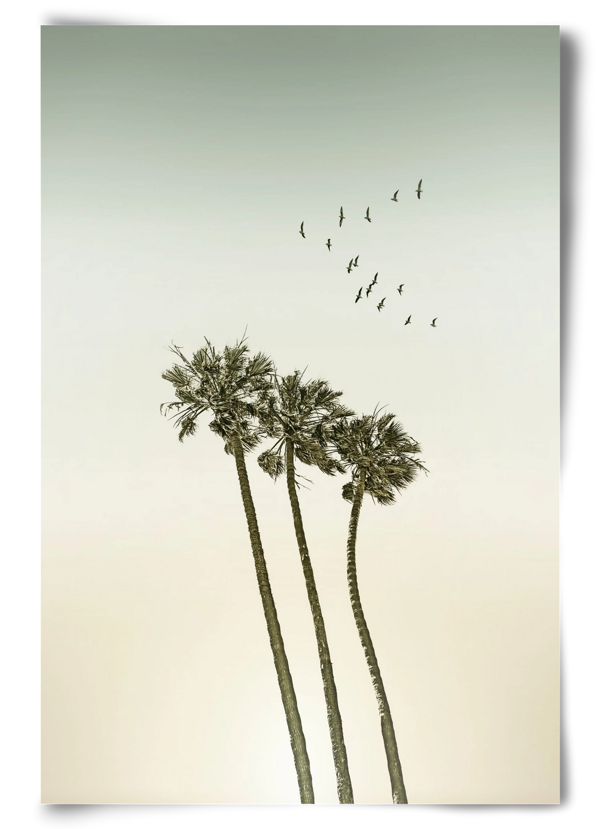 Vintage palm trees at sunset, 60x90 cm, Keret nélkül