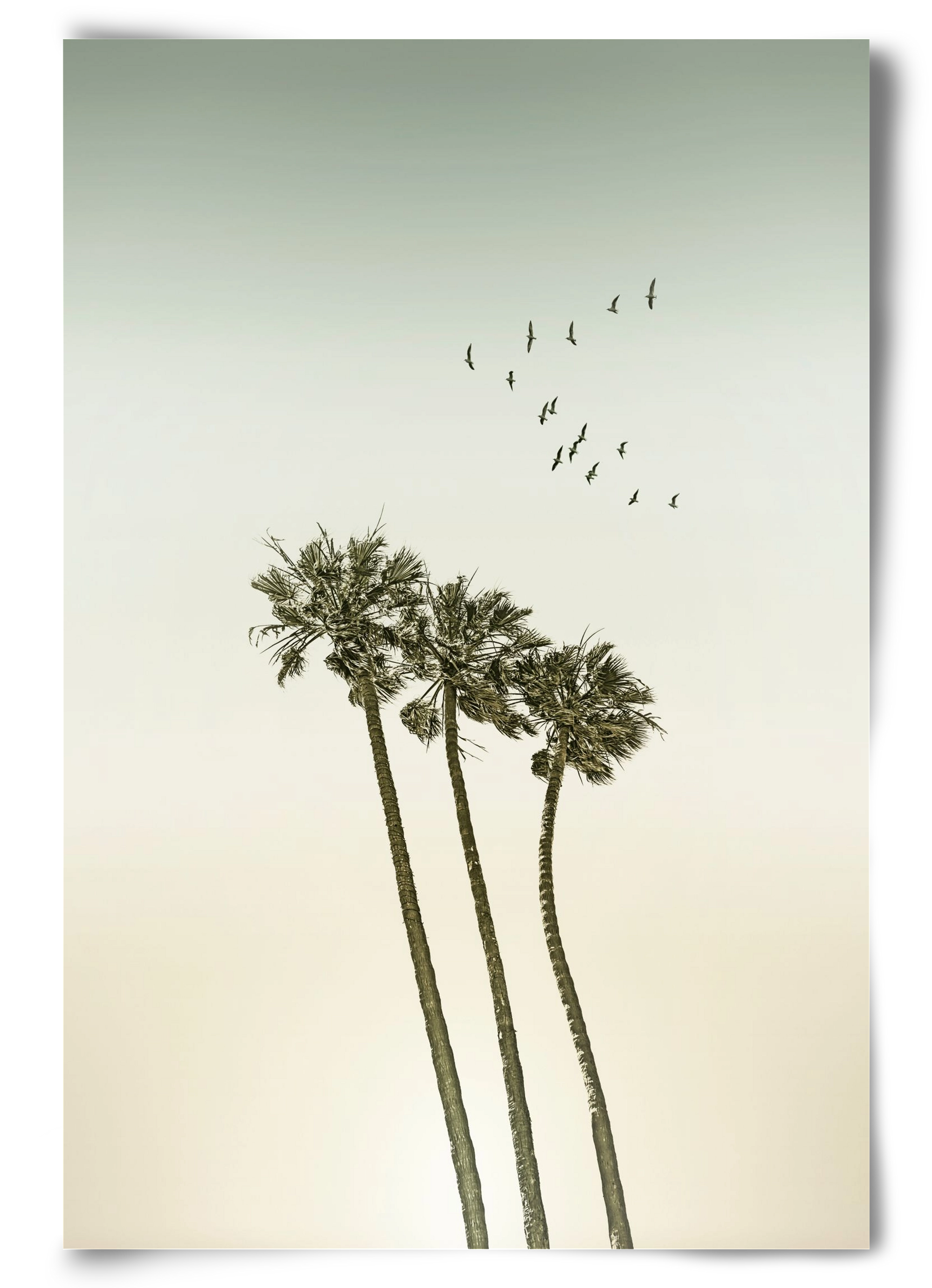 Vintage palm trees at sunset, 60x90 cm, Keret nélkül