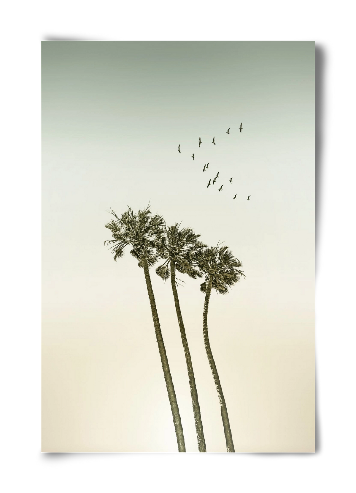Vintage palm trees at sunset, 40x60 cm, Keret nélkül