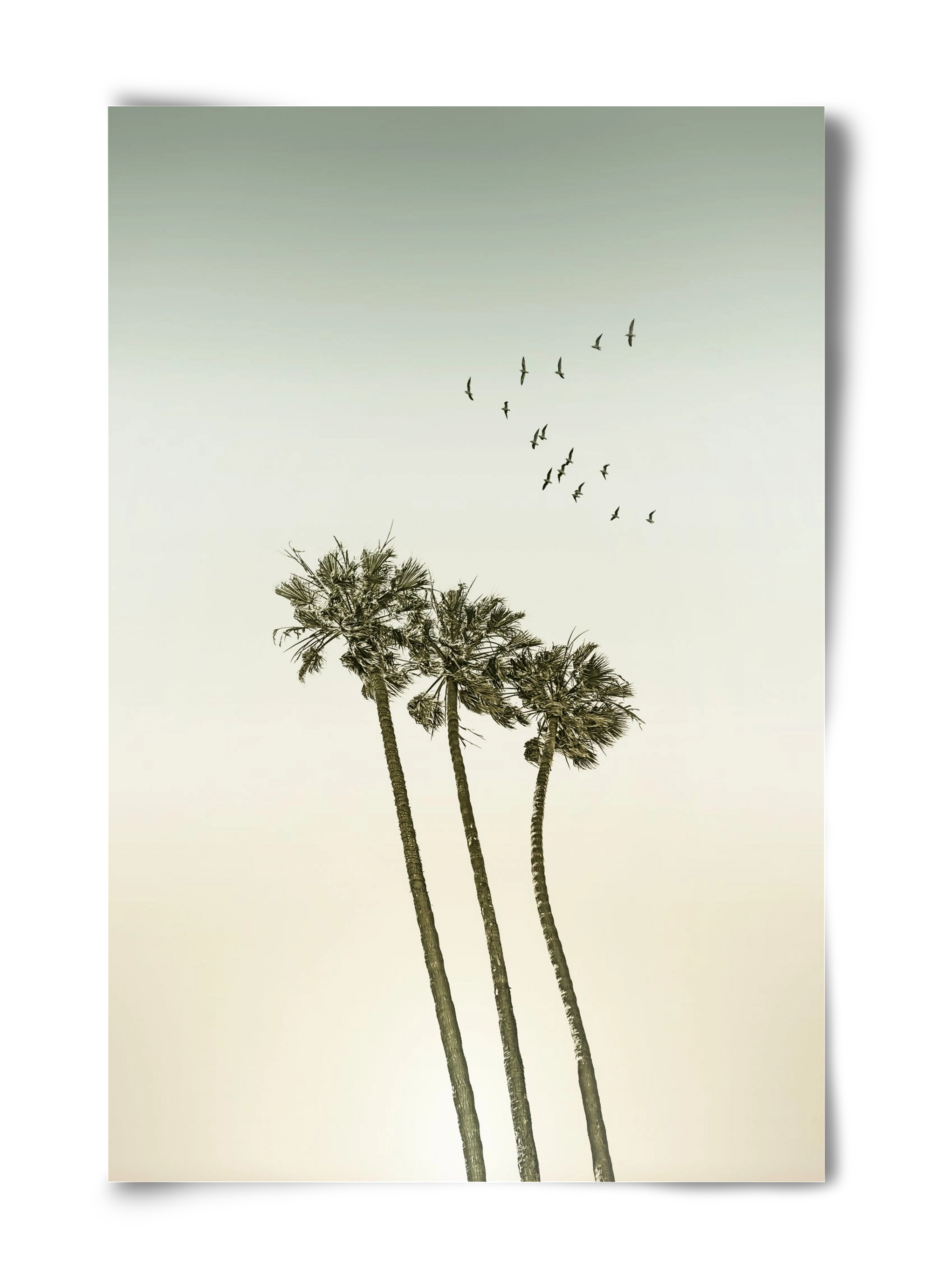 Vintage palm trees at sunset, 40x60 cm, Keret nélkül