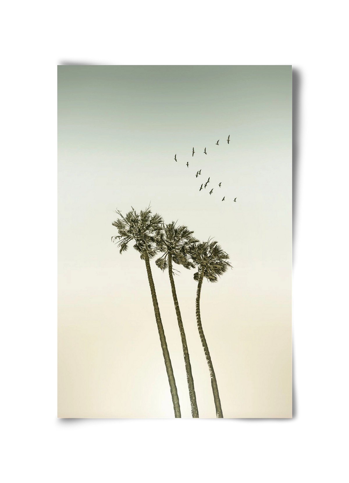 Vintage palm trees at sunset, 30x45 cm, Keret nélkül