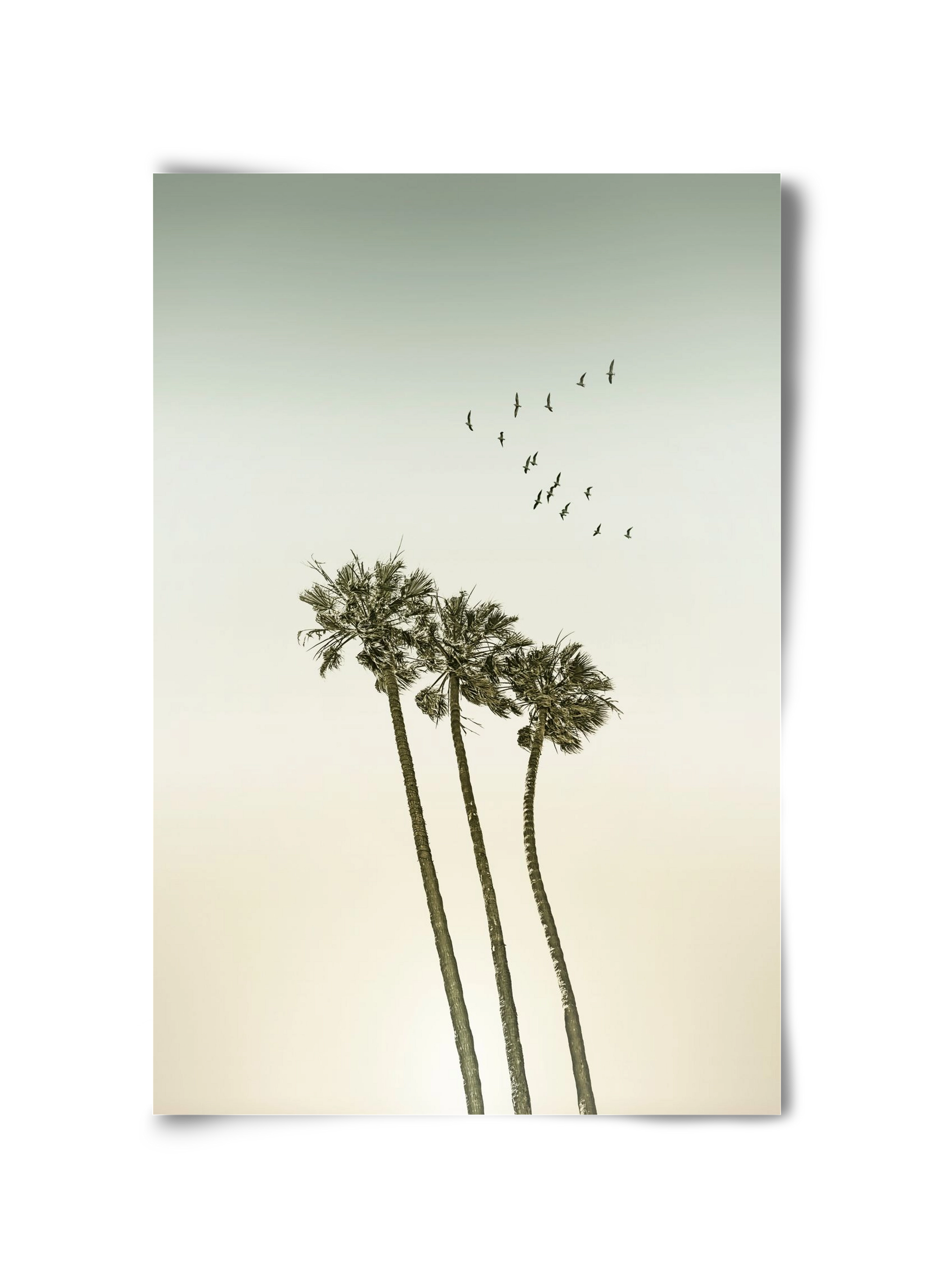 Vintage palm trees at sunset, 30x45 cm, Keret nélkül