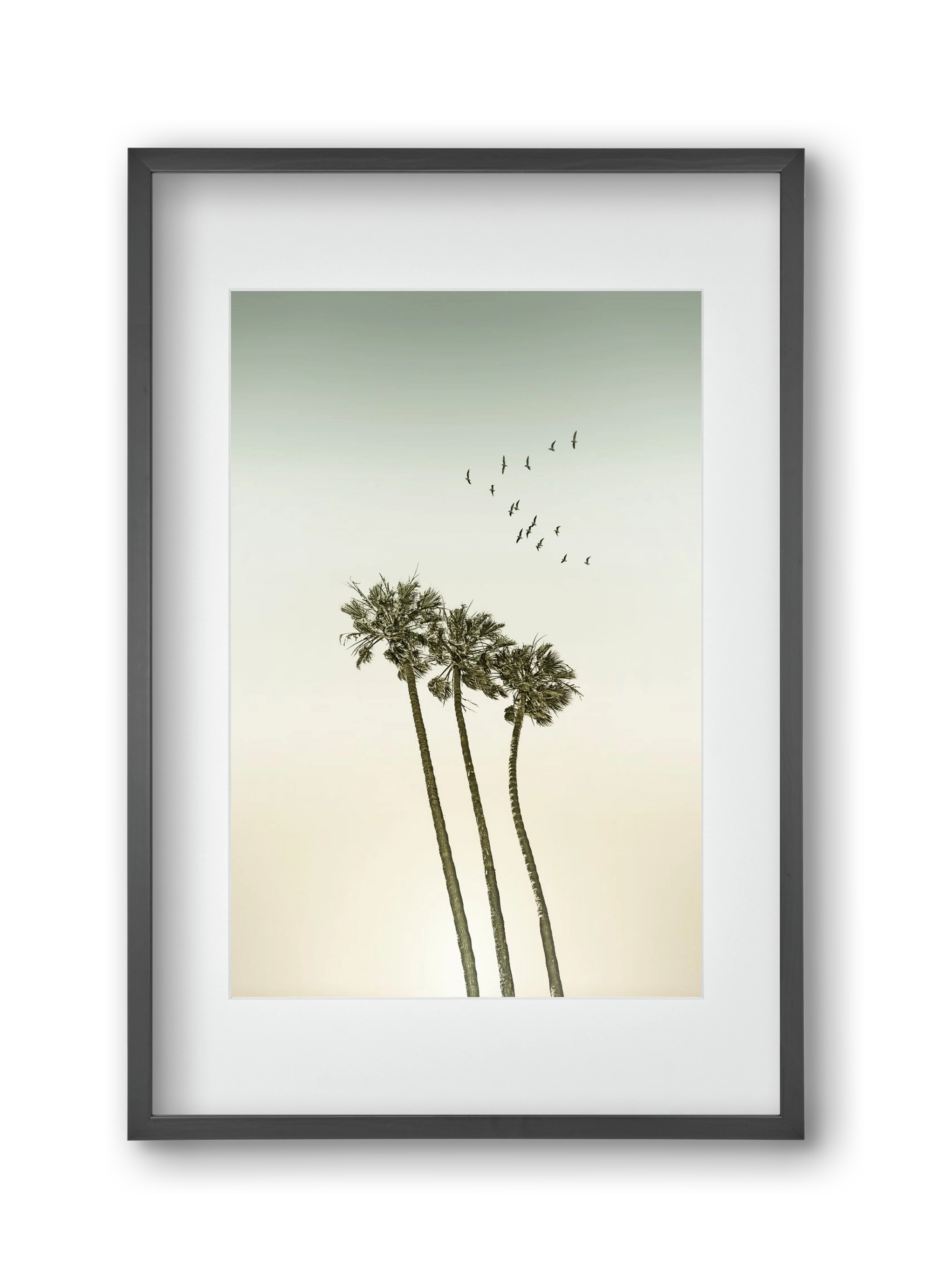 Vintage palm trees at sunset, 30x45 cm (20x30 cm), Fekete keret, paszpartuval