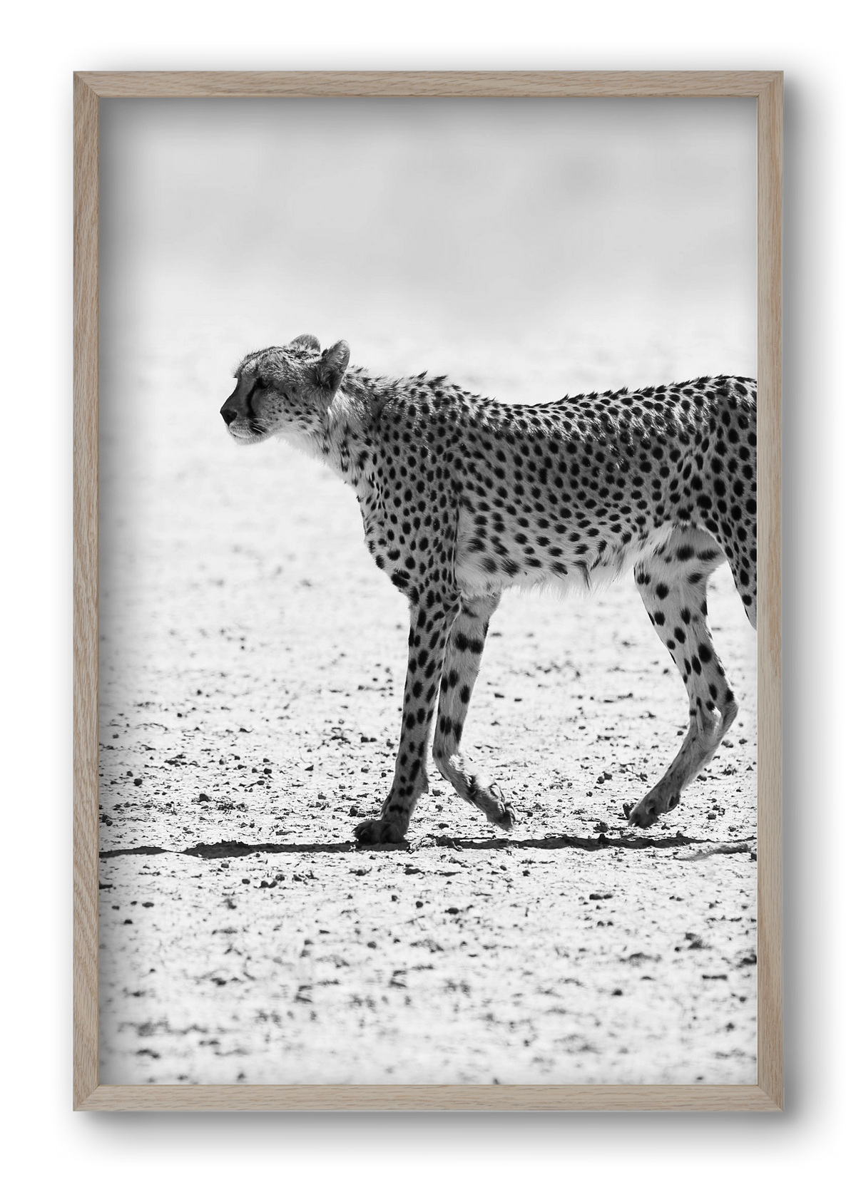 Cheetah, 40x60 cm (40x60 cm), Tölgy keret