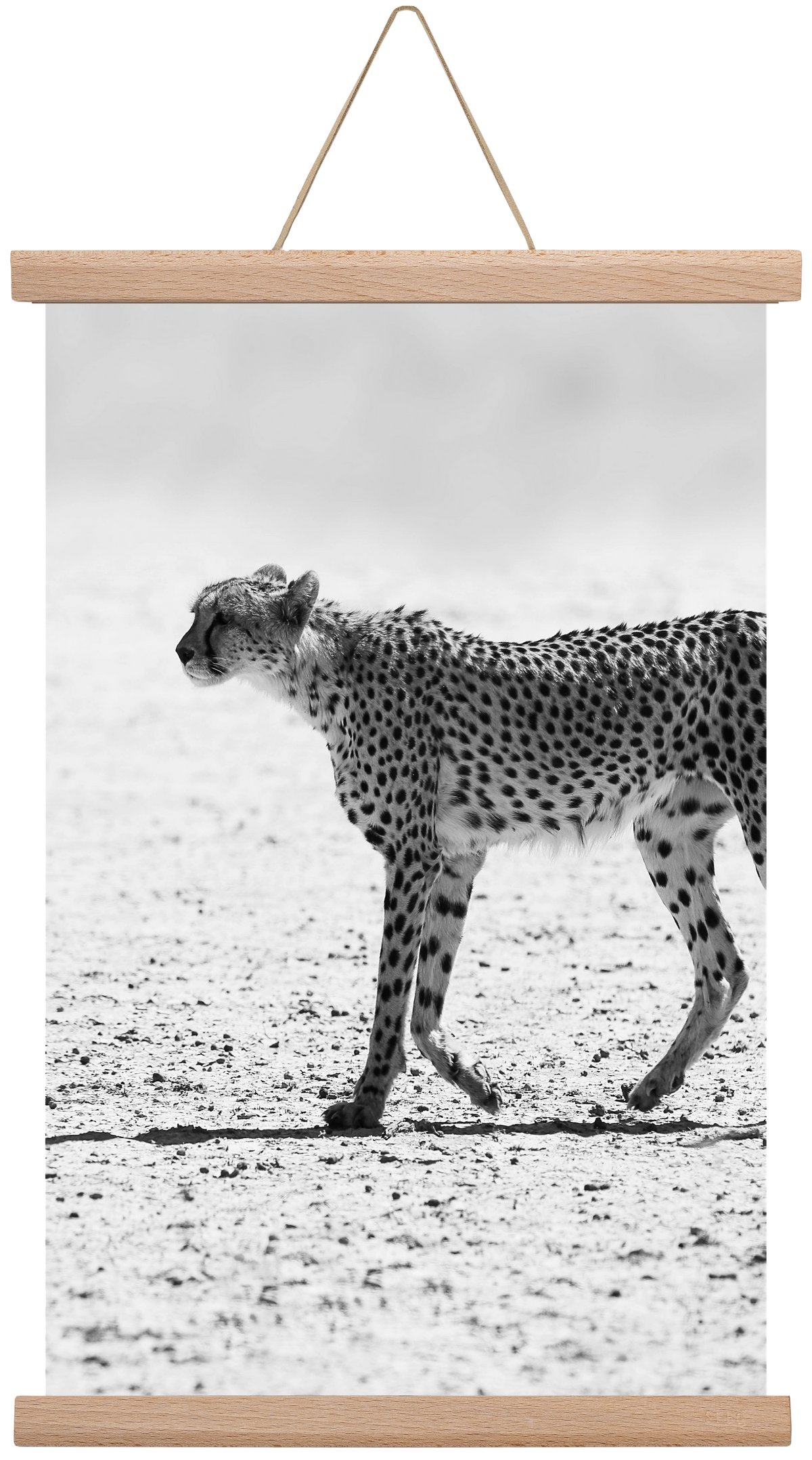 Cheetah, 30x45 cm (30x45 cm), Tölgy akasztó