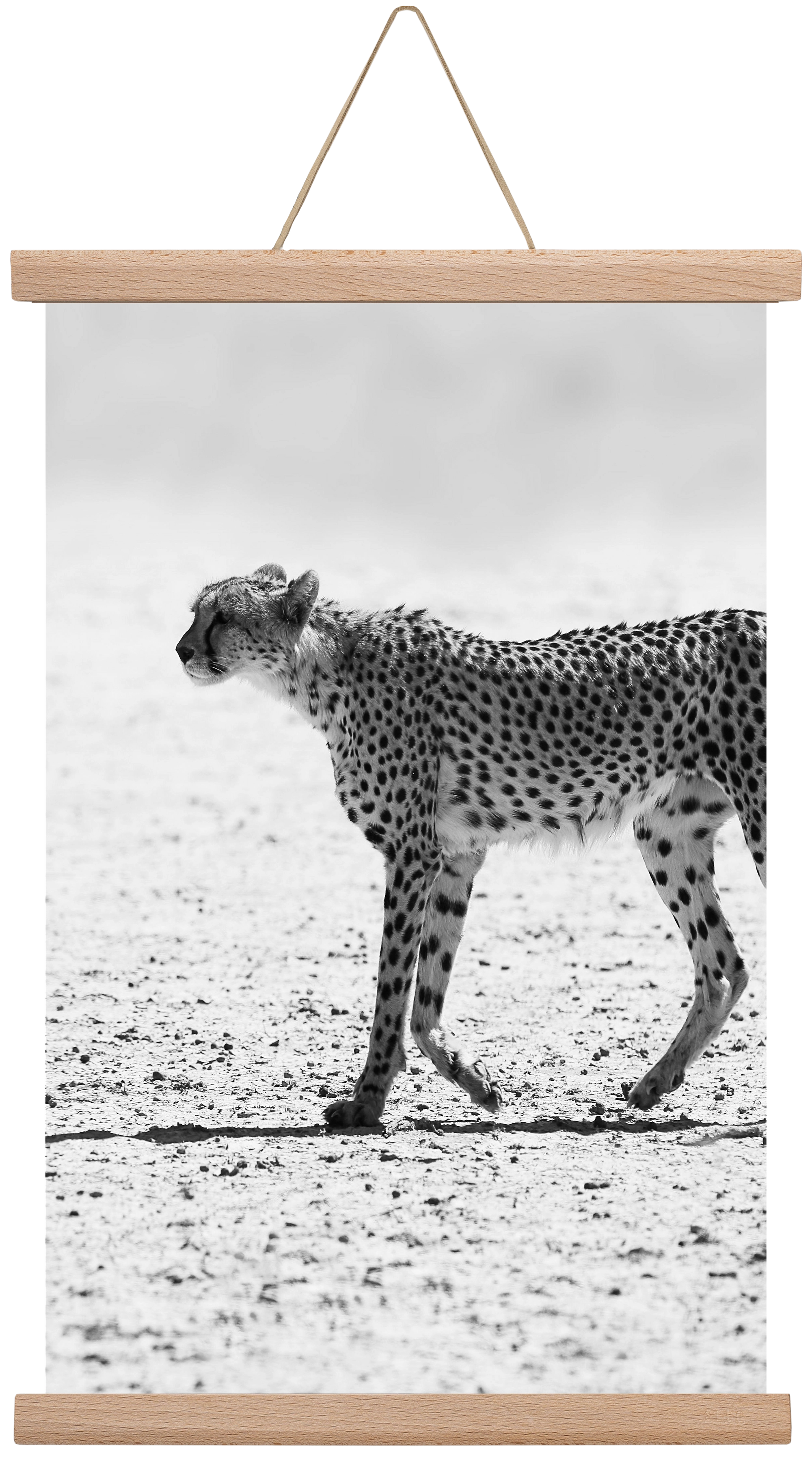 Cheetah, 30x45 cm (30x45 cm), Tölgy akasztó