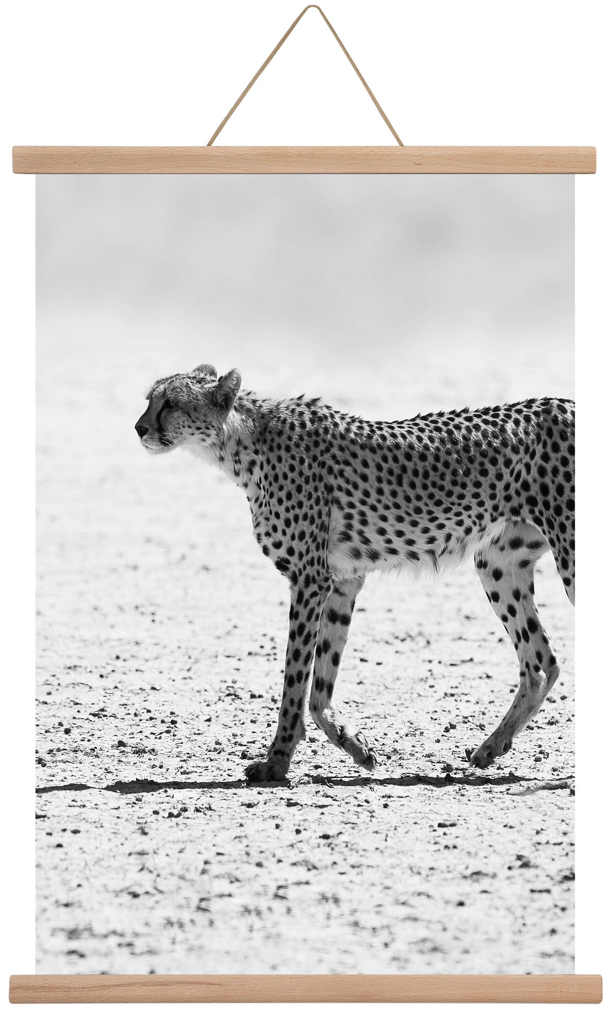 Cheetah, 40x60 cm (40x60 cm), Tölgy akasztó