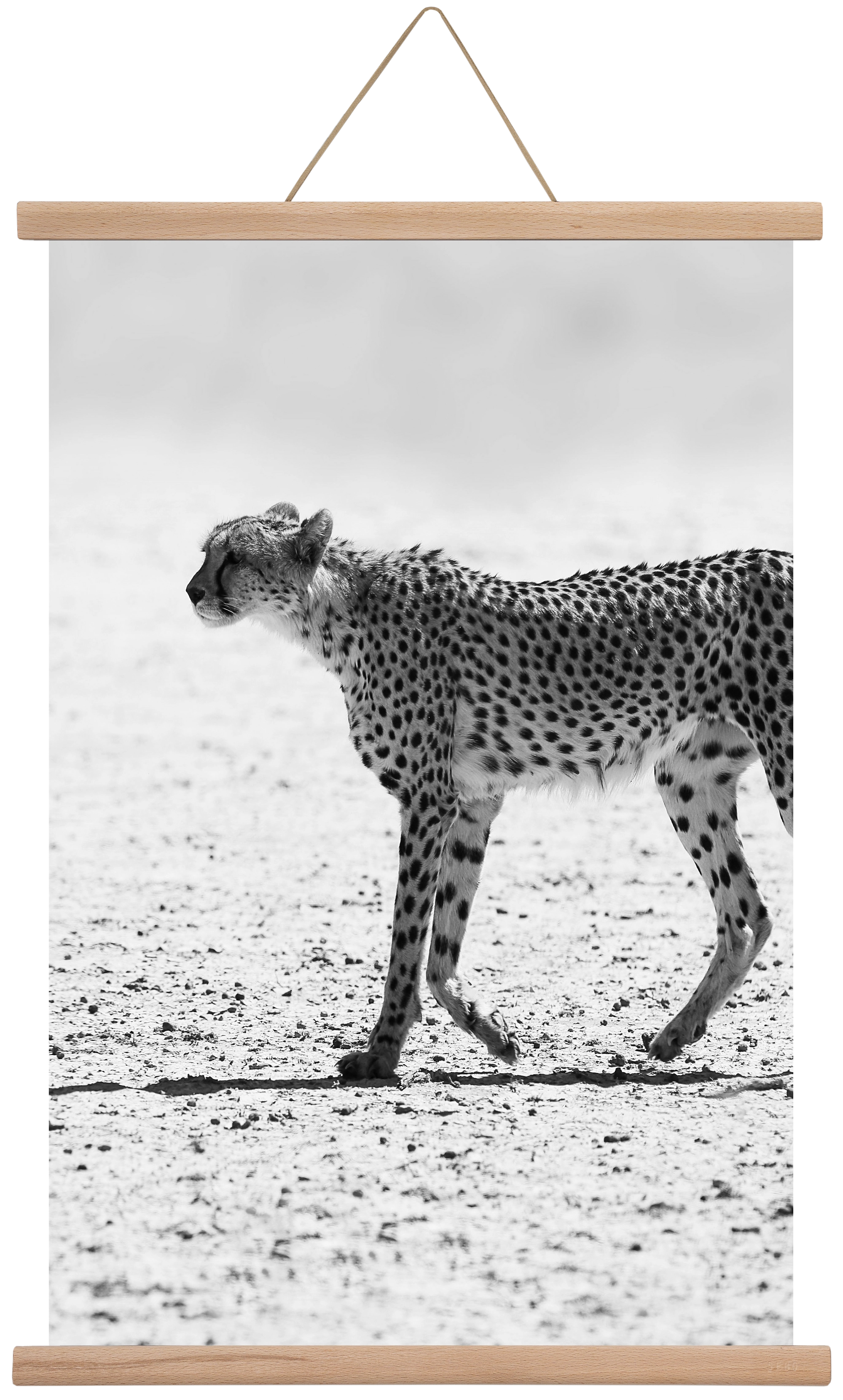 Cheetah, 40x60 cm (40x60 cm), Tölgy akasztó