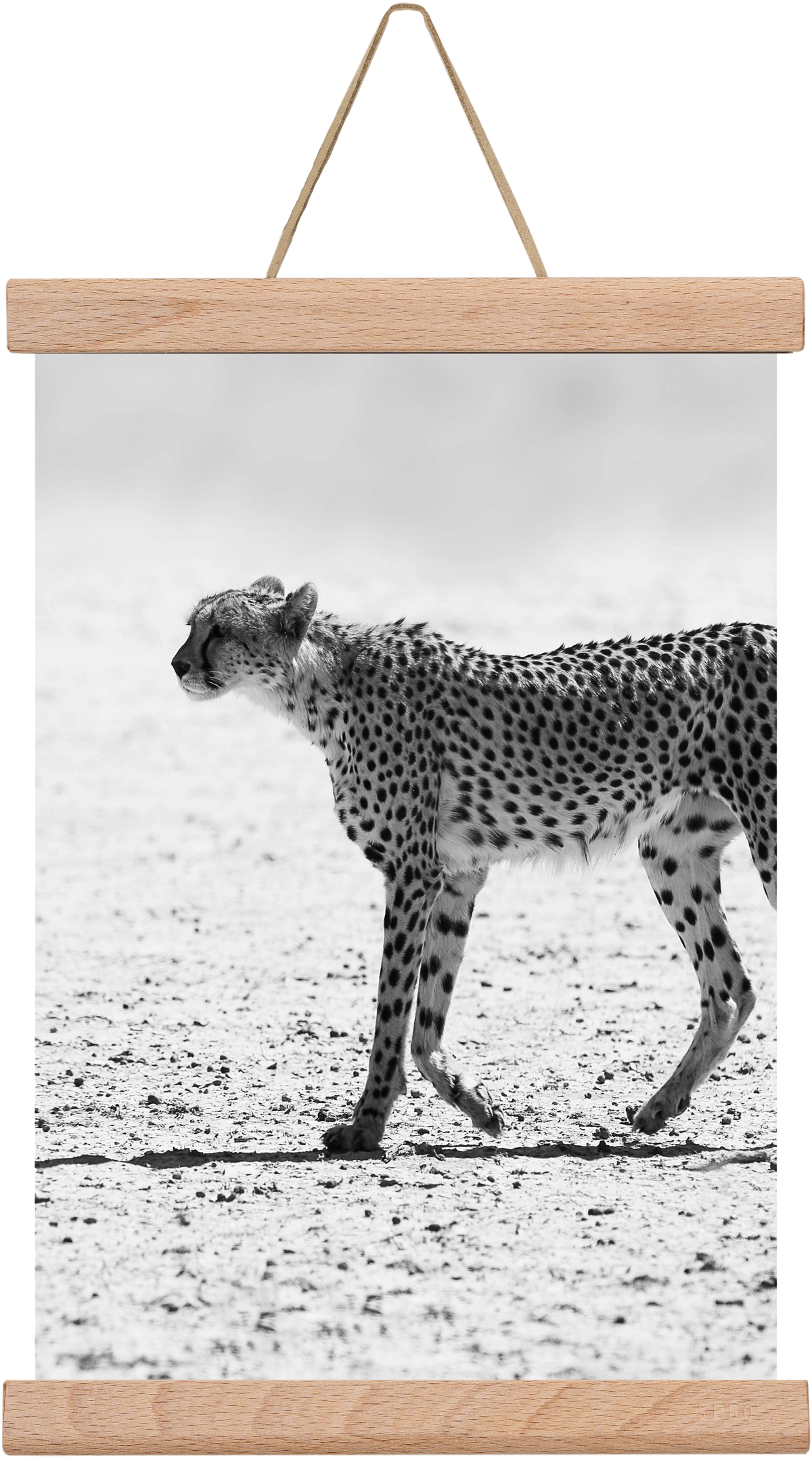 Cheetah, 20x30 cm (20x30 cm), Tölgy akasztó