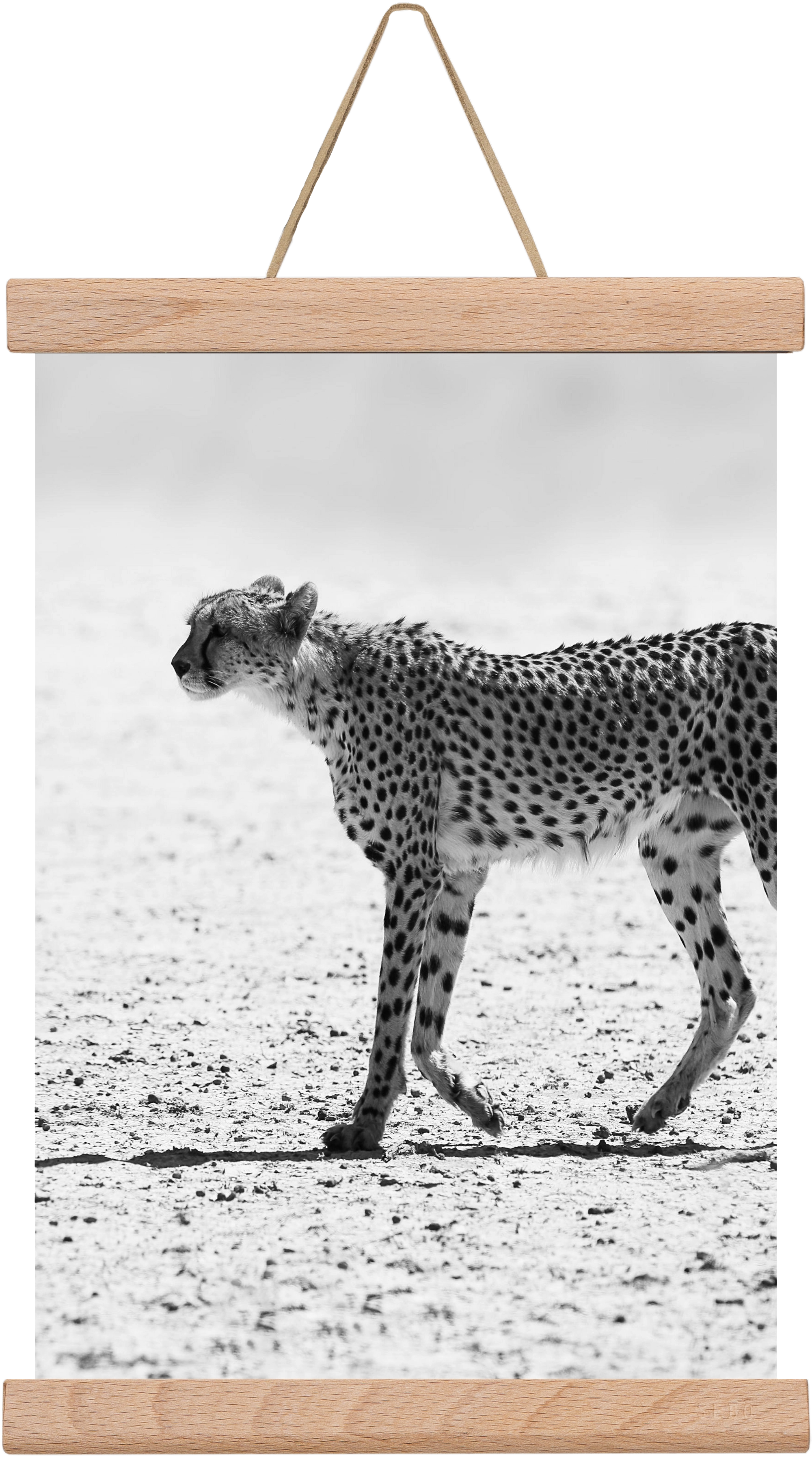 Cheetah, 20x30 cm (20x30 cm), Tölgy akasztó