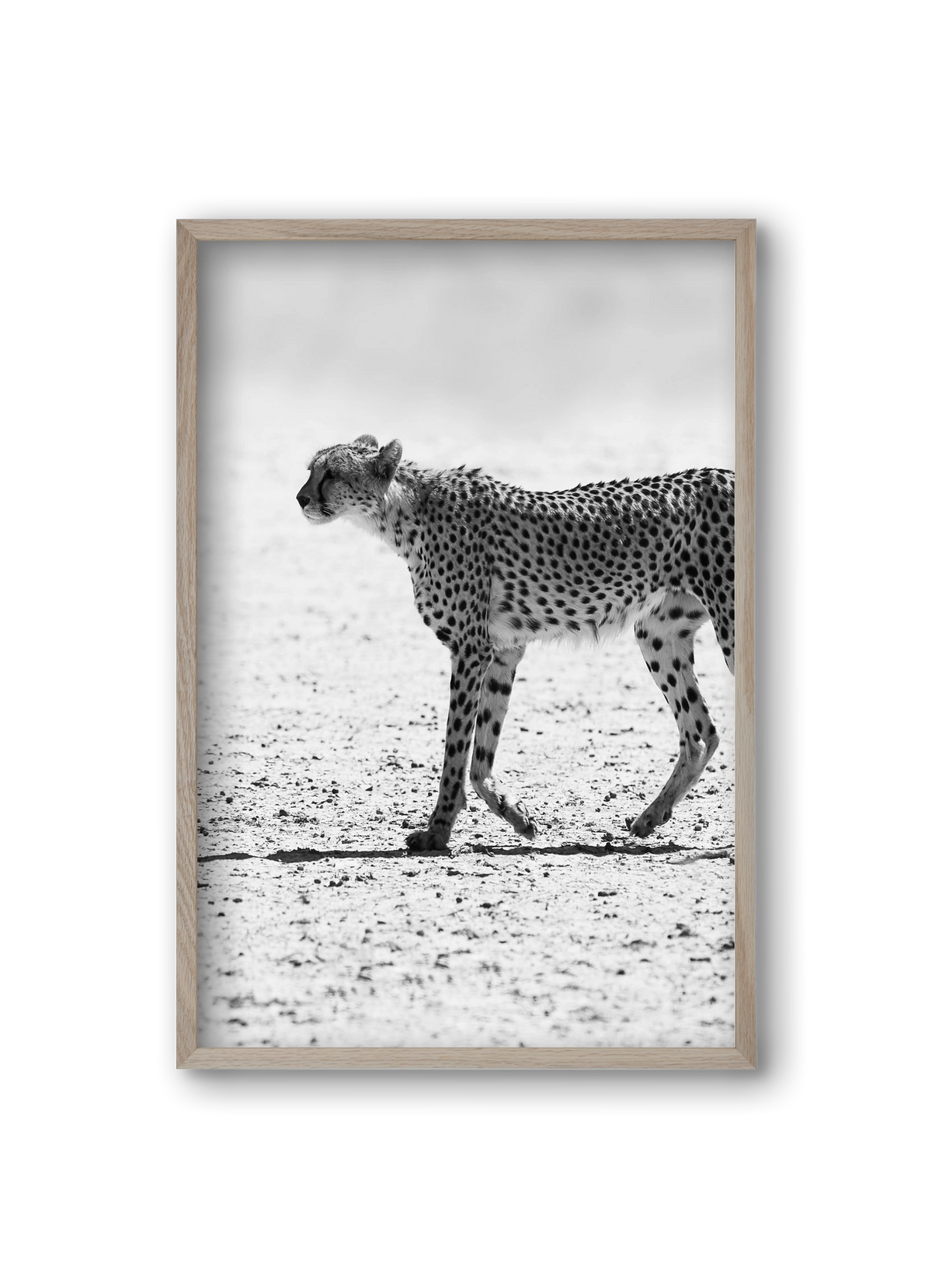 Cheetah, 20x30 cm (20x30 cm), Tölgy keret