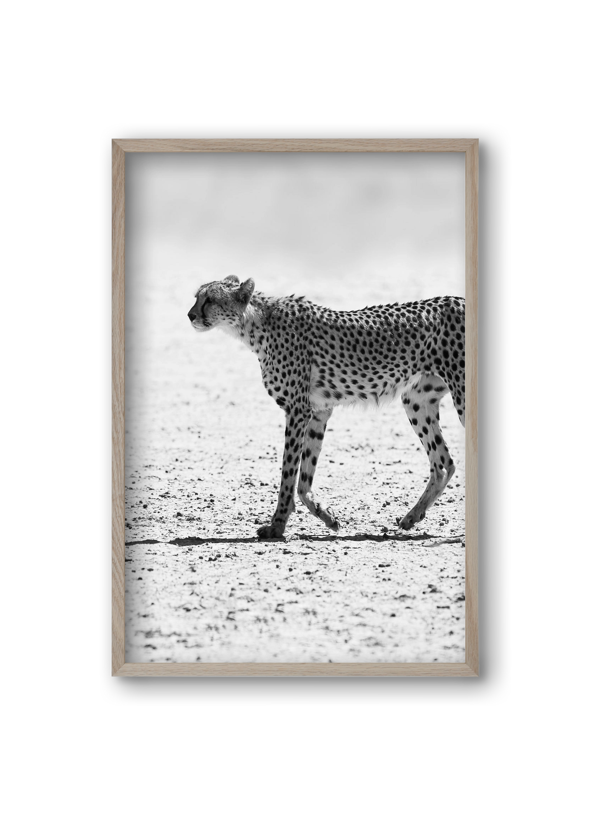 Cheetah, 20x30 cm (20x30 cm), Tölgy keret