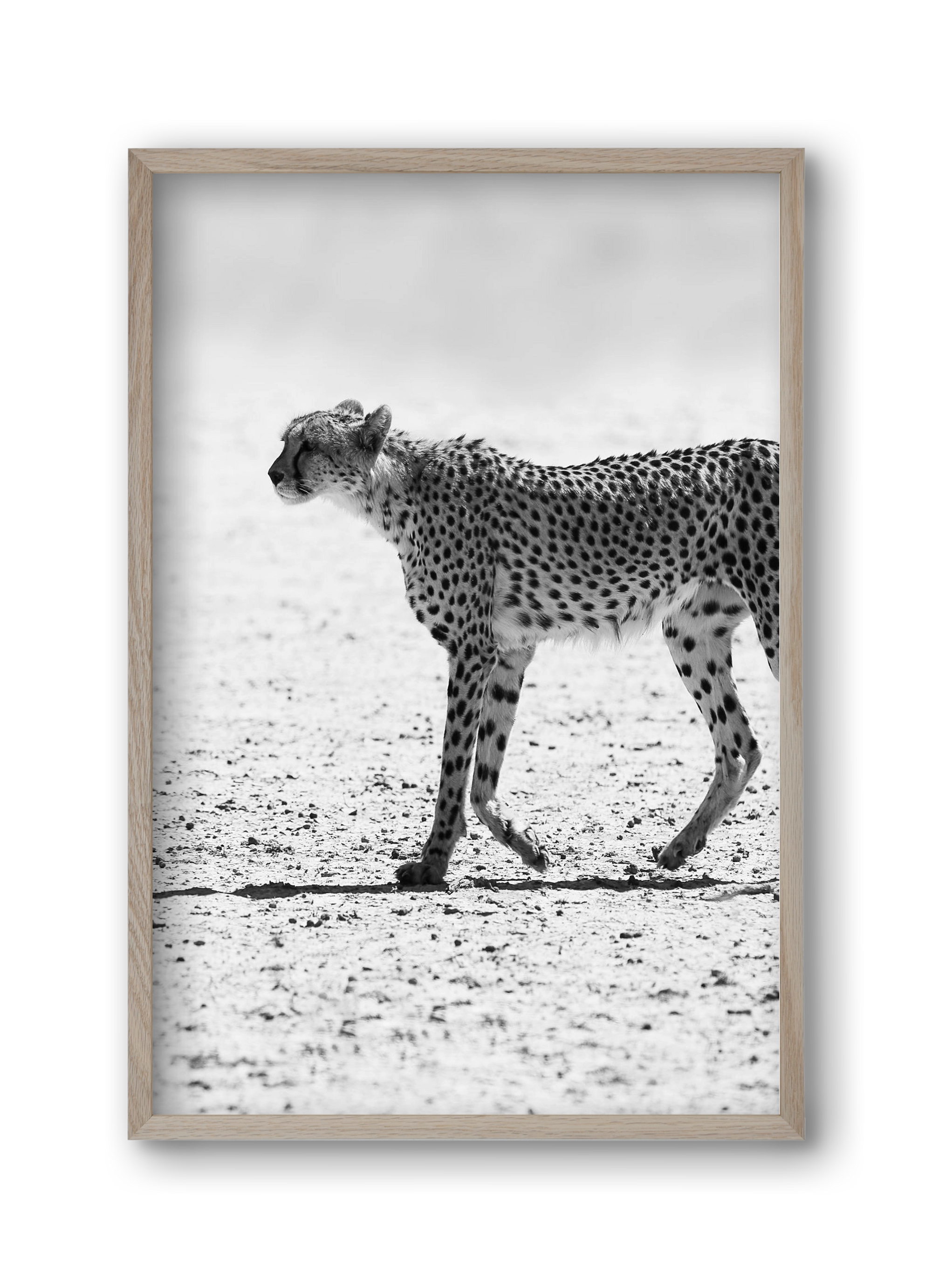 Cheetah, 30x45 cm (30x45 cm), Tölgy keret