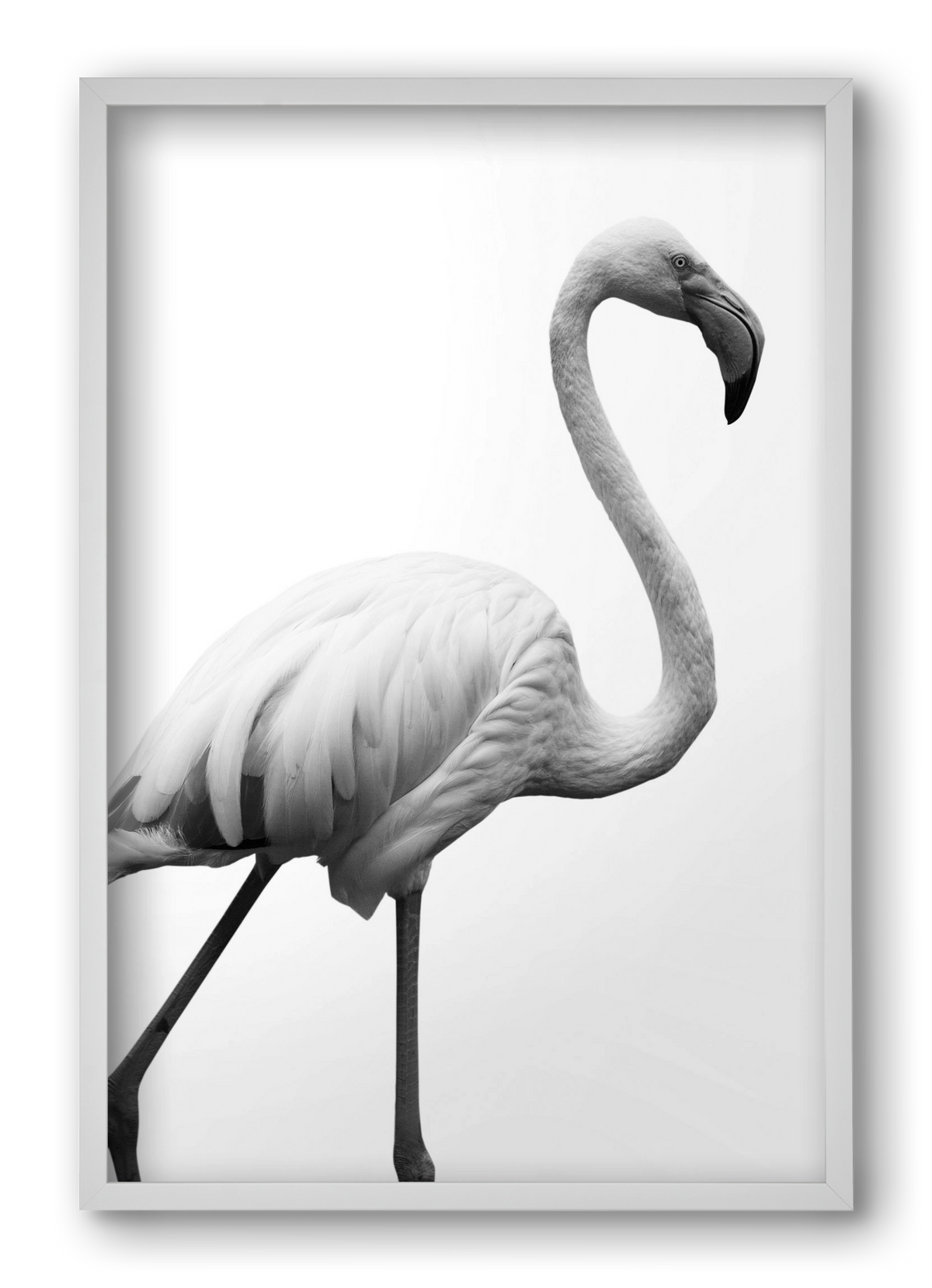 Dancer, 40x60 cm (40x60 cm), Fehér keret