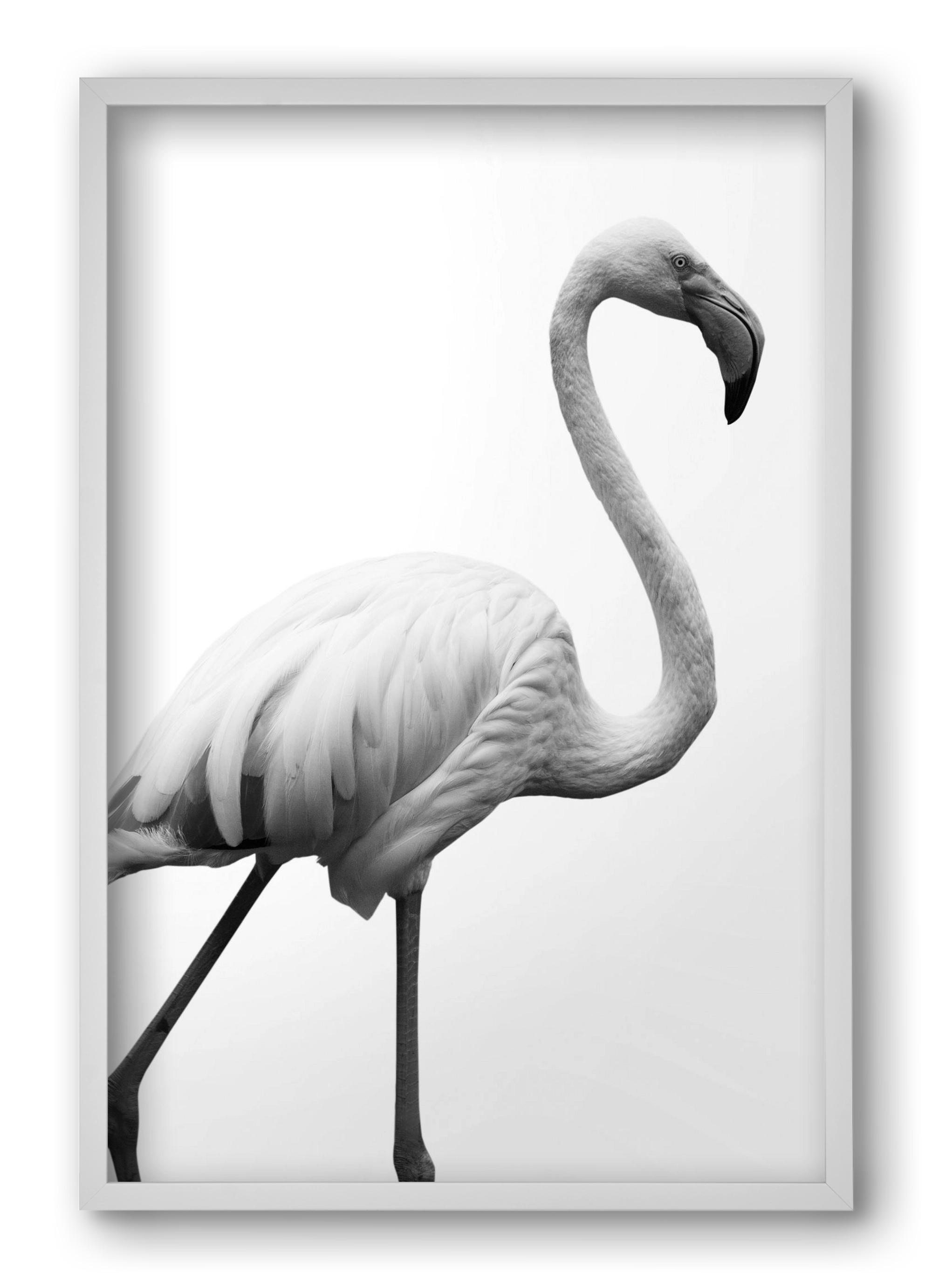 Dancer, 40x60 cm (40x60 cm), Fehér keret