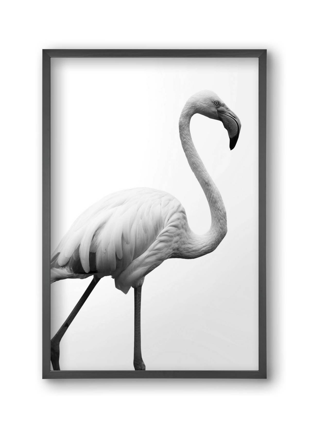 Dancer, 30x45 cm (30x45 cm), Fekete keret
