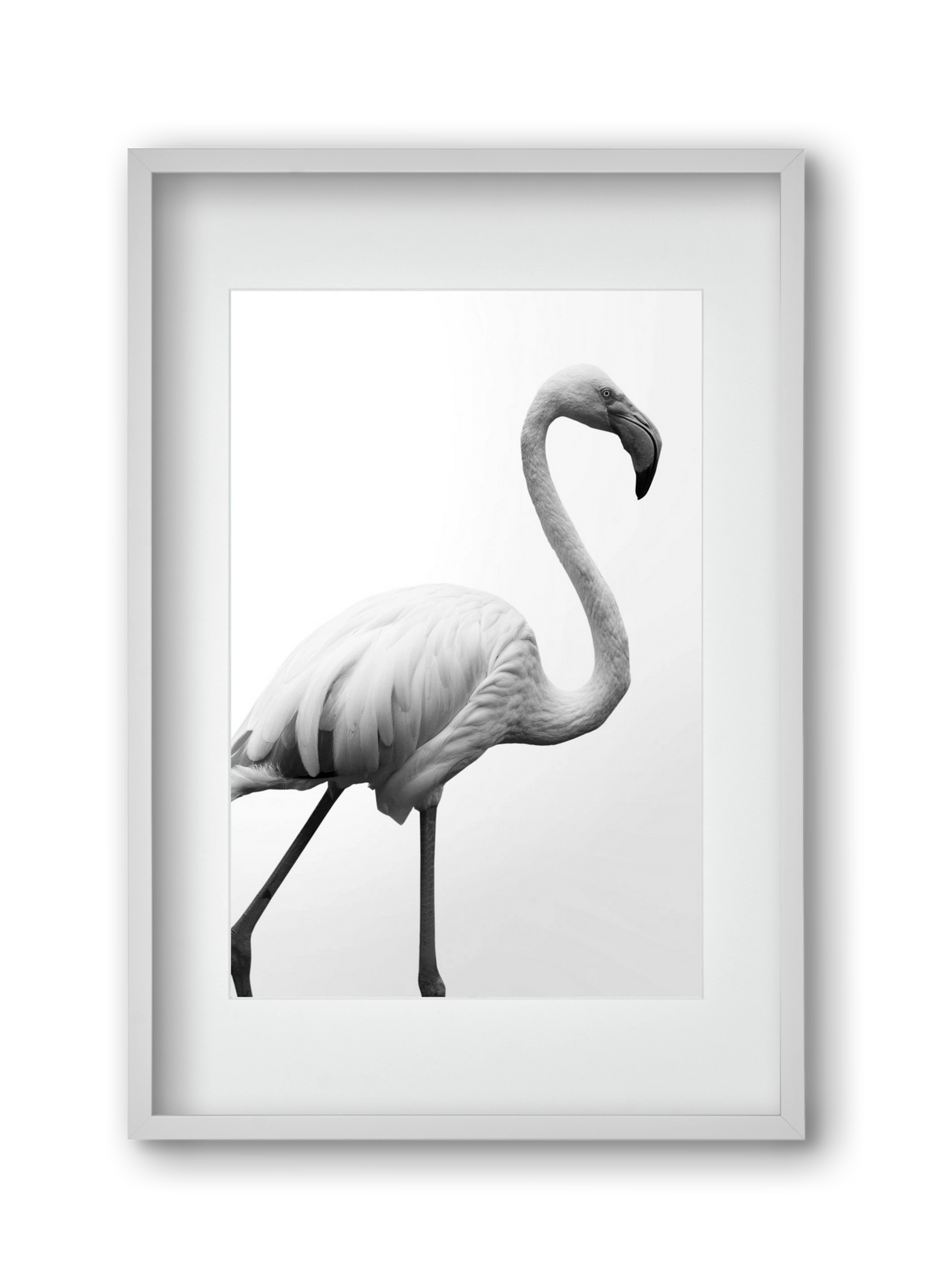 Dancer, 30x45 cm (20x30 cm), Fehér keret, paszpartuval