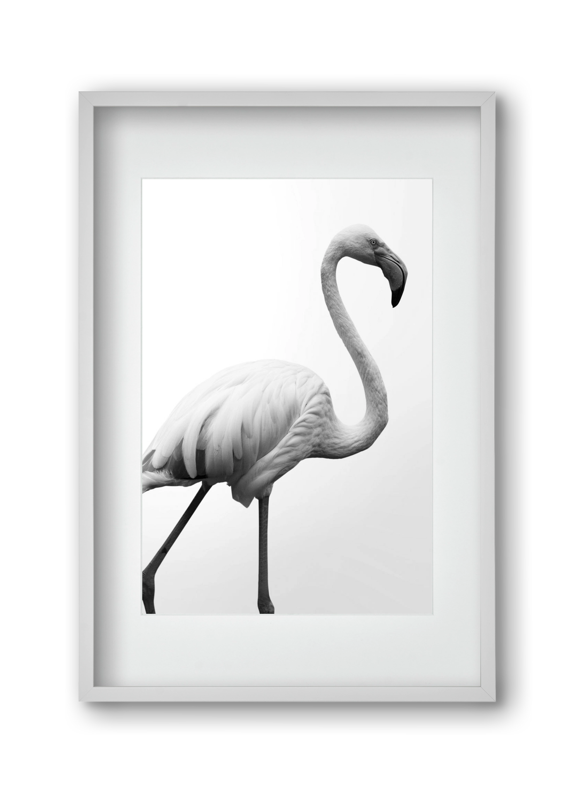 Dancer, 30x45 cm (20x30 cm), Fehér keret, paszpartuval