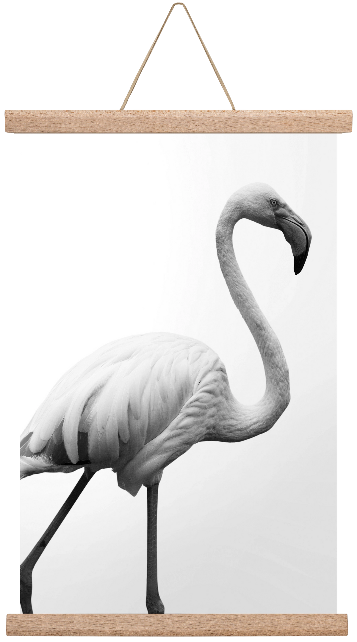 Dancer, 30x45 cm (30x45 cm), Tölgy akasztó