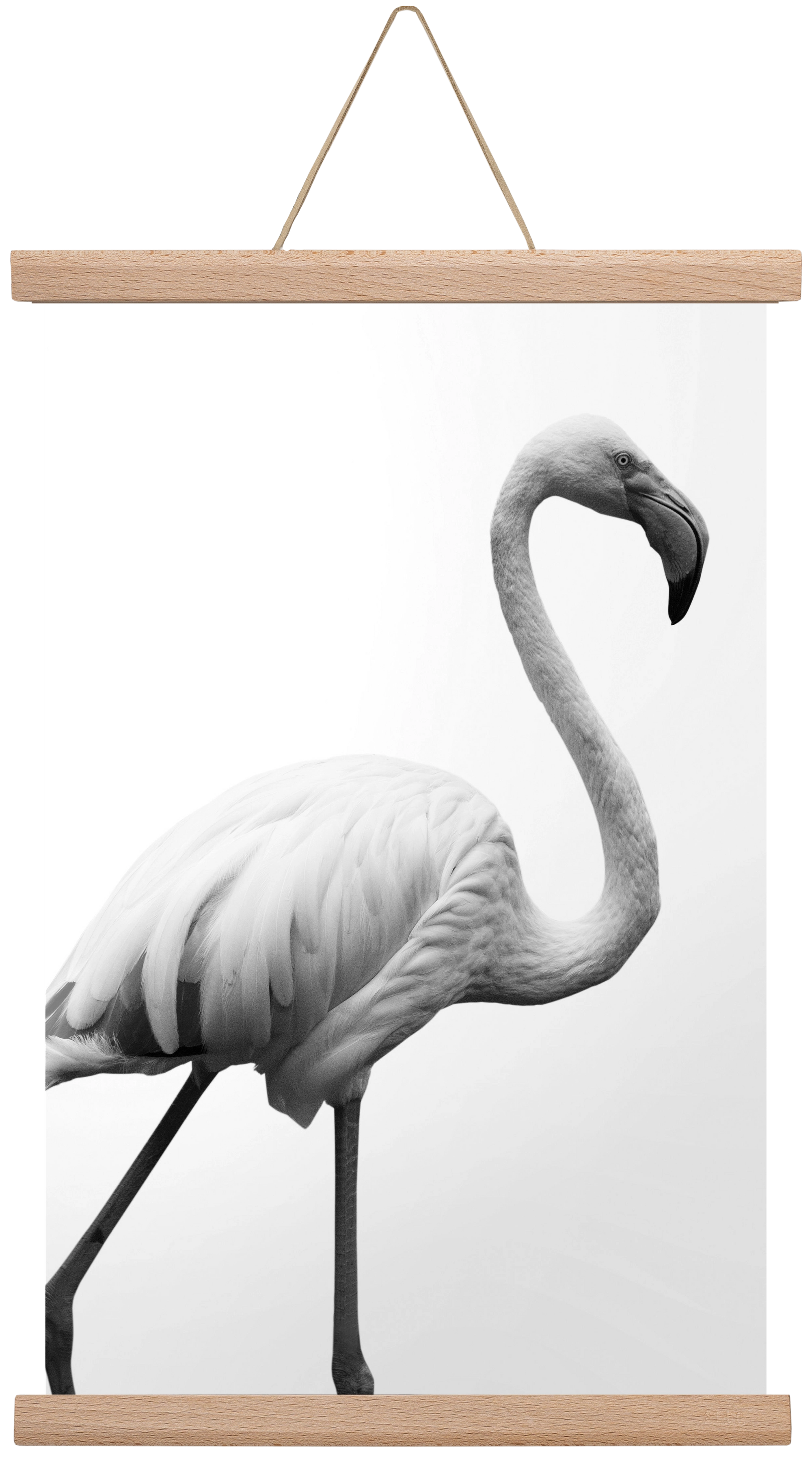 Dancer, 30x45 cm (30x45 cm), Tölgy akasztó