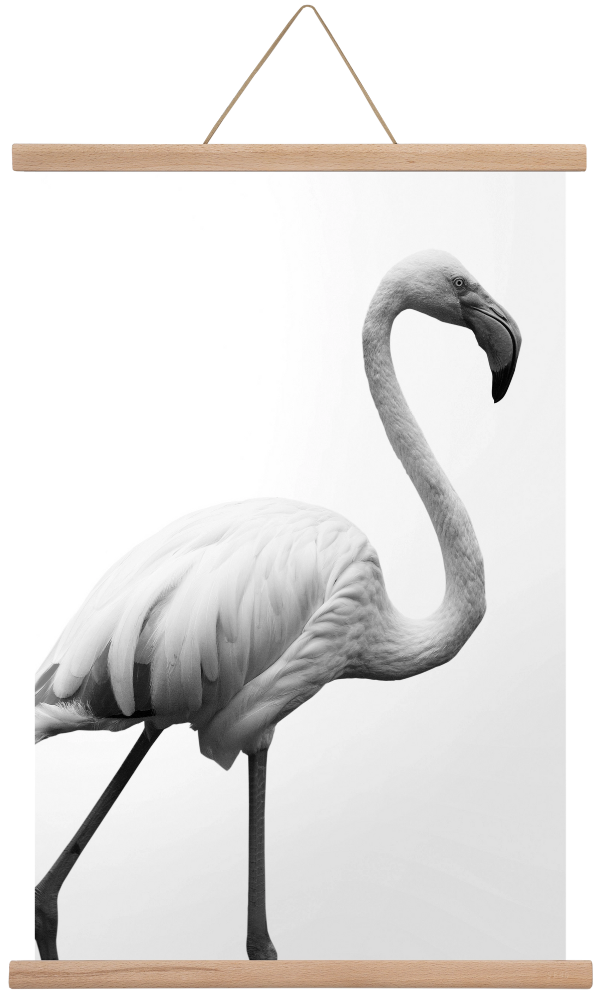 Dancer, 40x60 cm (40x60 cm), Tölgy akasztó