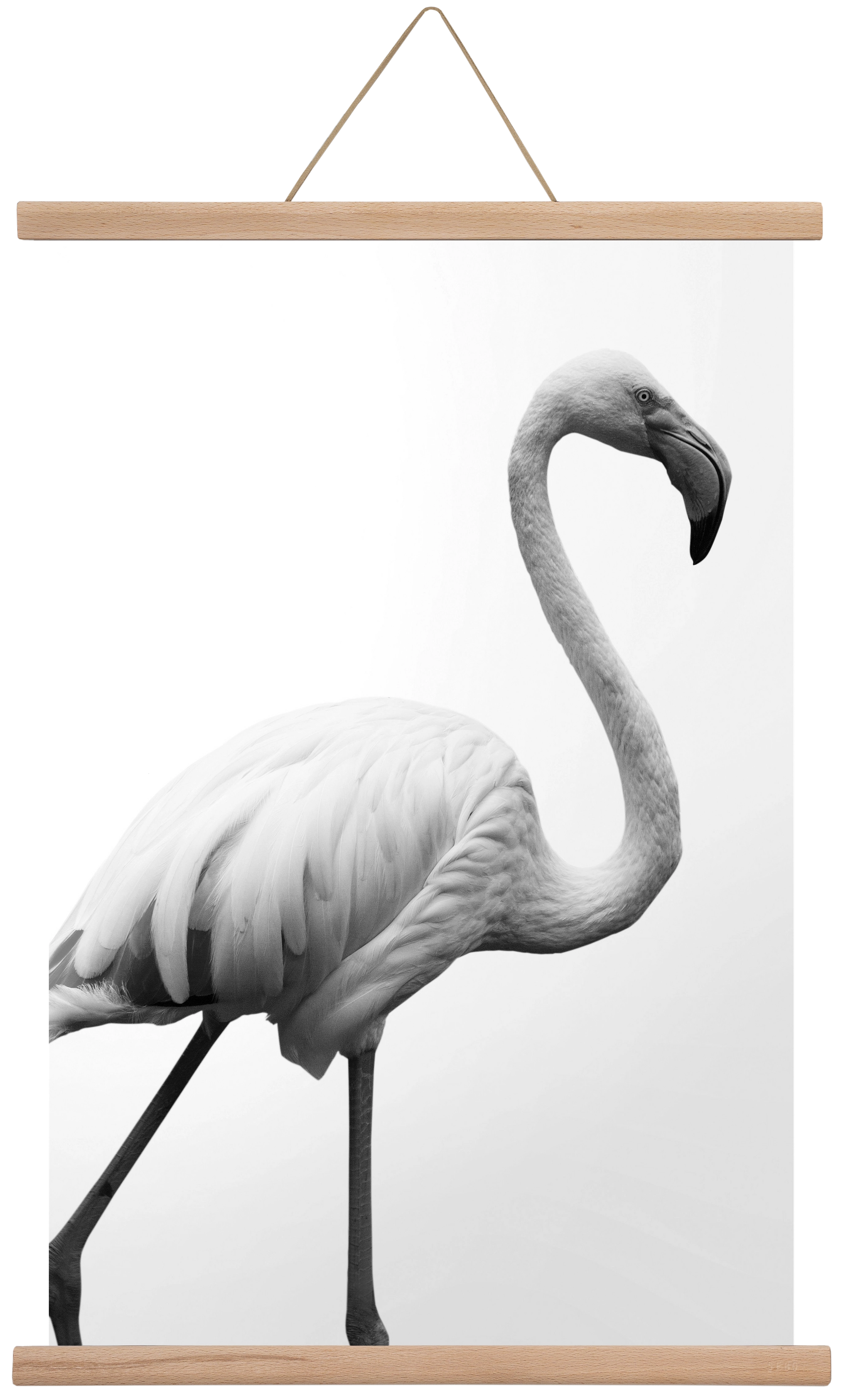 Dancer, 40x60 cm (40x60 cm), Tölgy akasztó