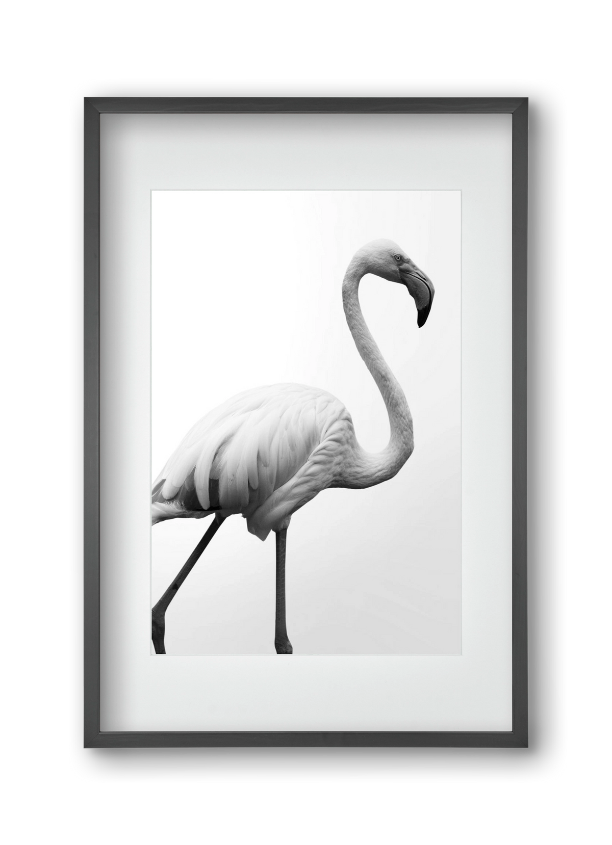 Dancer, 30x45 cm (20x30 cm), Fekete keret, paszpartuval