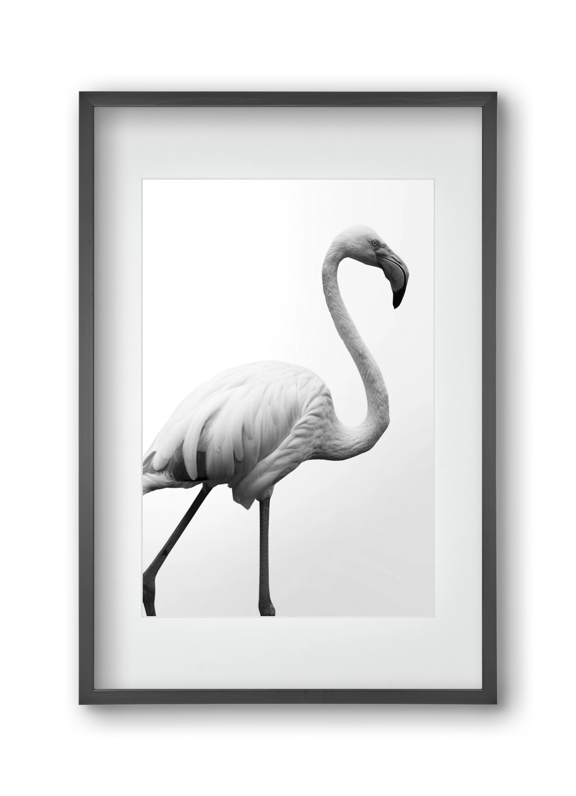 Dancer, 30x45 cm (20x30 cm), Fekete keret, paszpartuval