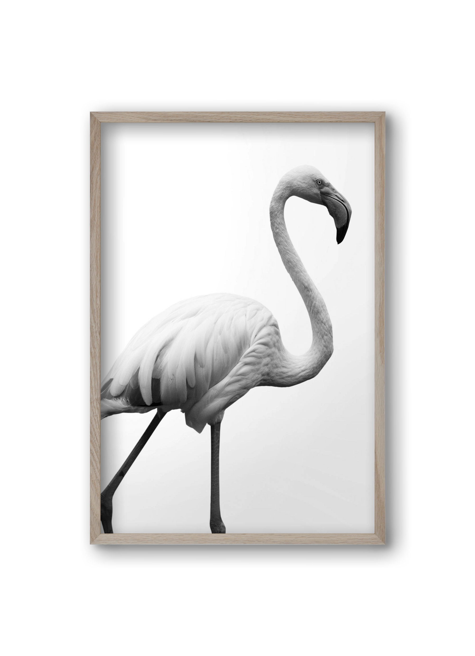 Dancer, 20x30 cm (20x30 cm), Tölgy keret