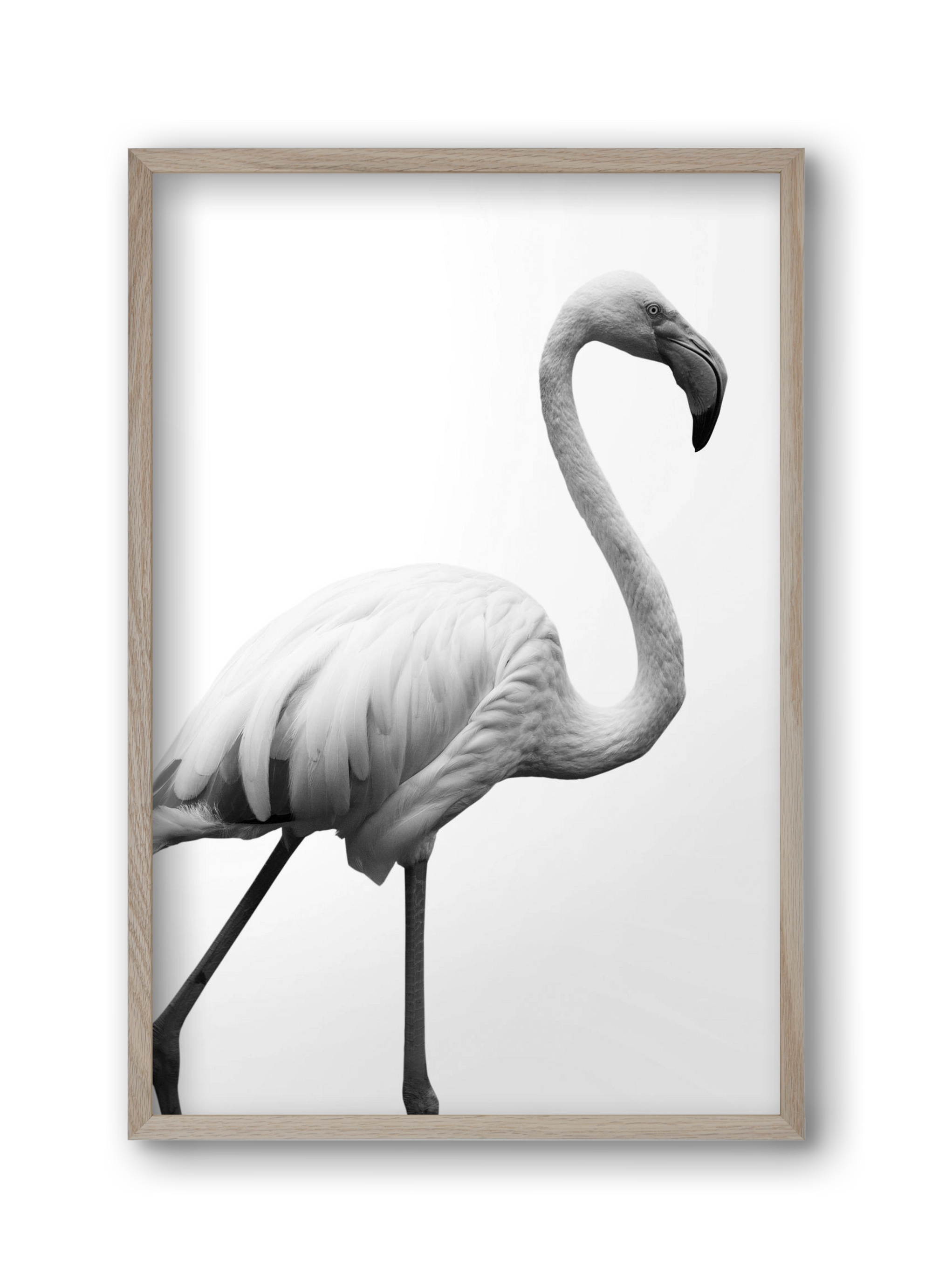 Dancer, 30x45 cm (30x45 cm), Tölgy keret