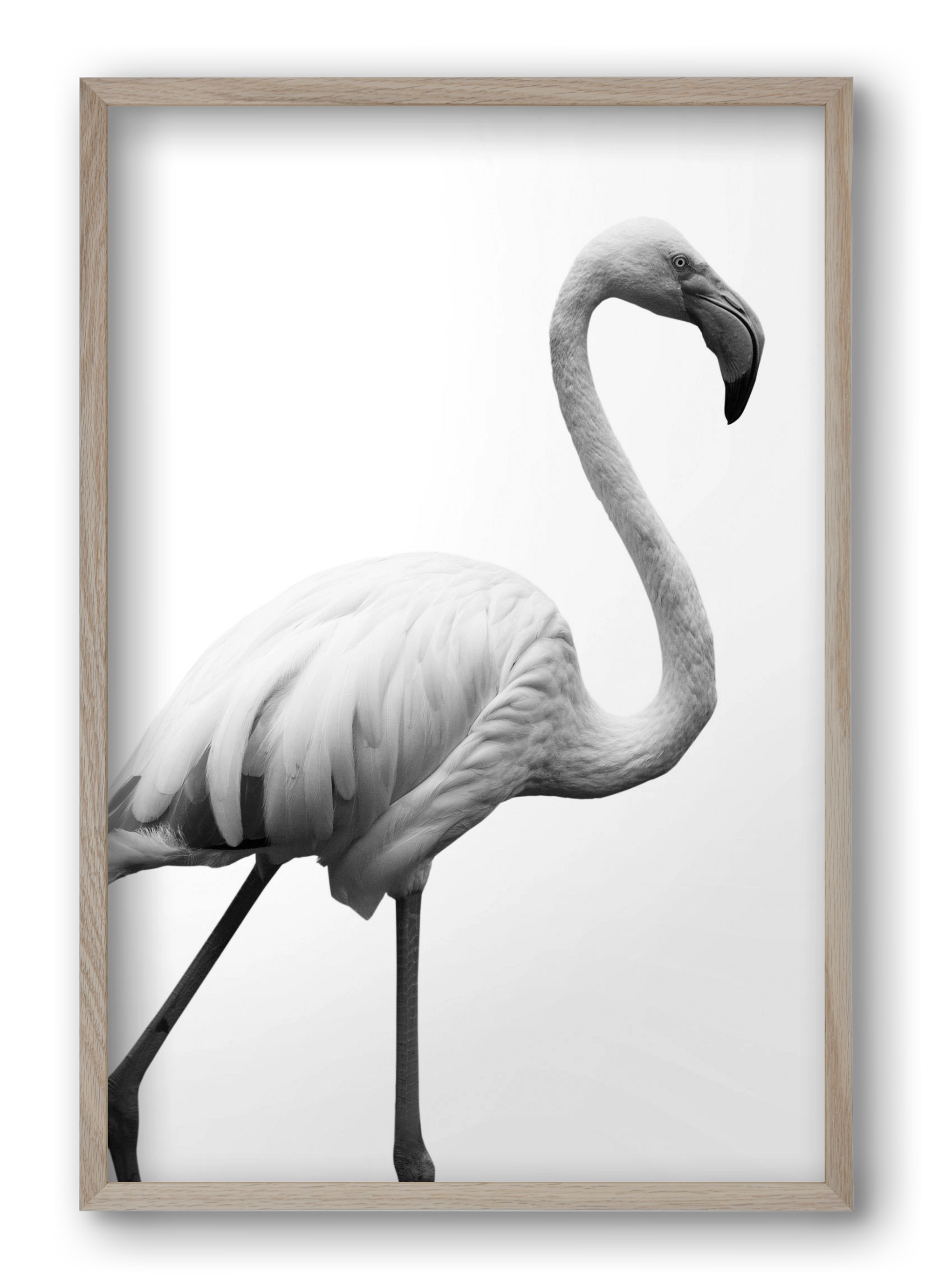 Dancer, 40x60 cm (40x60 cm), Tölgy keret